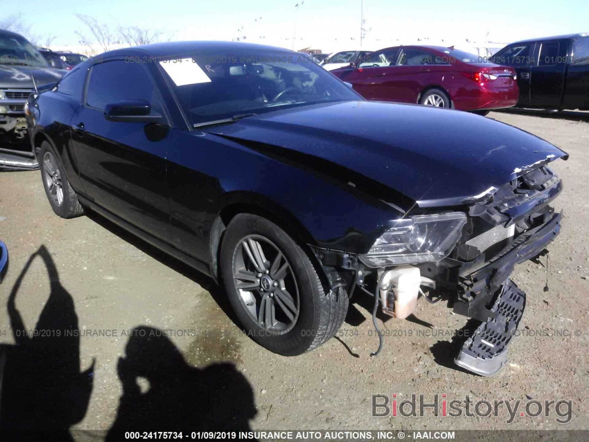Photo 1ZVBP8AM7D5206670 - FORD MUSTANG 2013