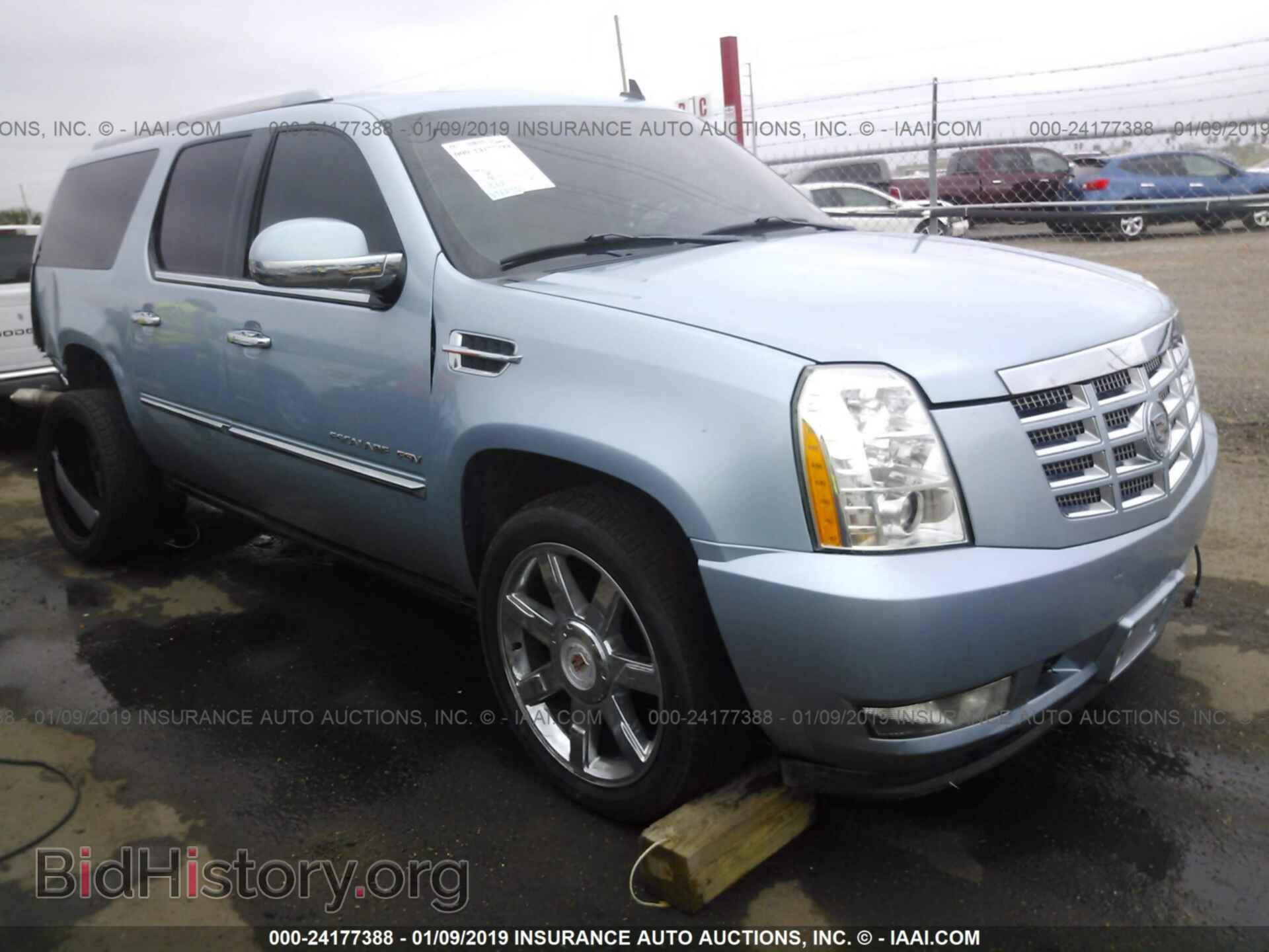 Фотография 1GYS3JEF7BR254087 - CADILLAC ESCALADE 2011