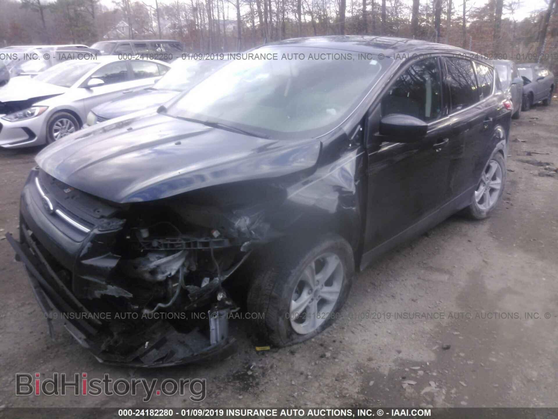 2013 FORD ESCAPE - VIN: 1FMCU9G97DUC20613 - Фото 2
