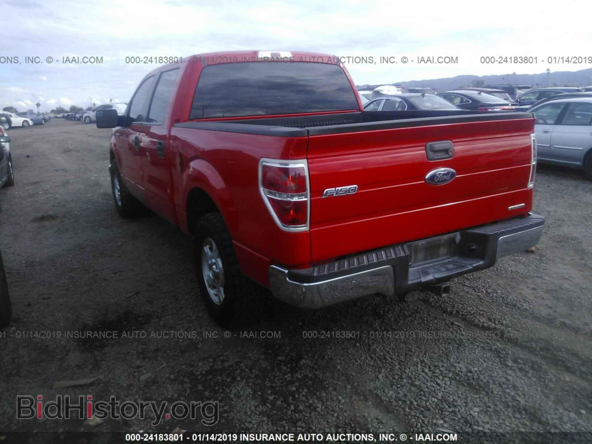 2013 FORD F150 - VIN: 1FTFW1CF3DKG51938 - Фото 3