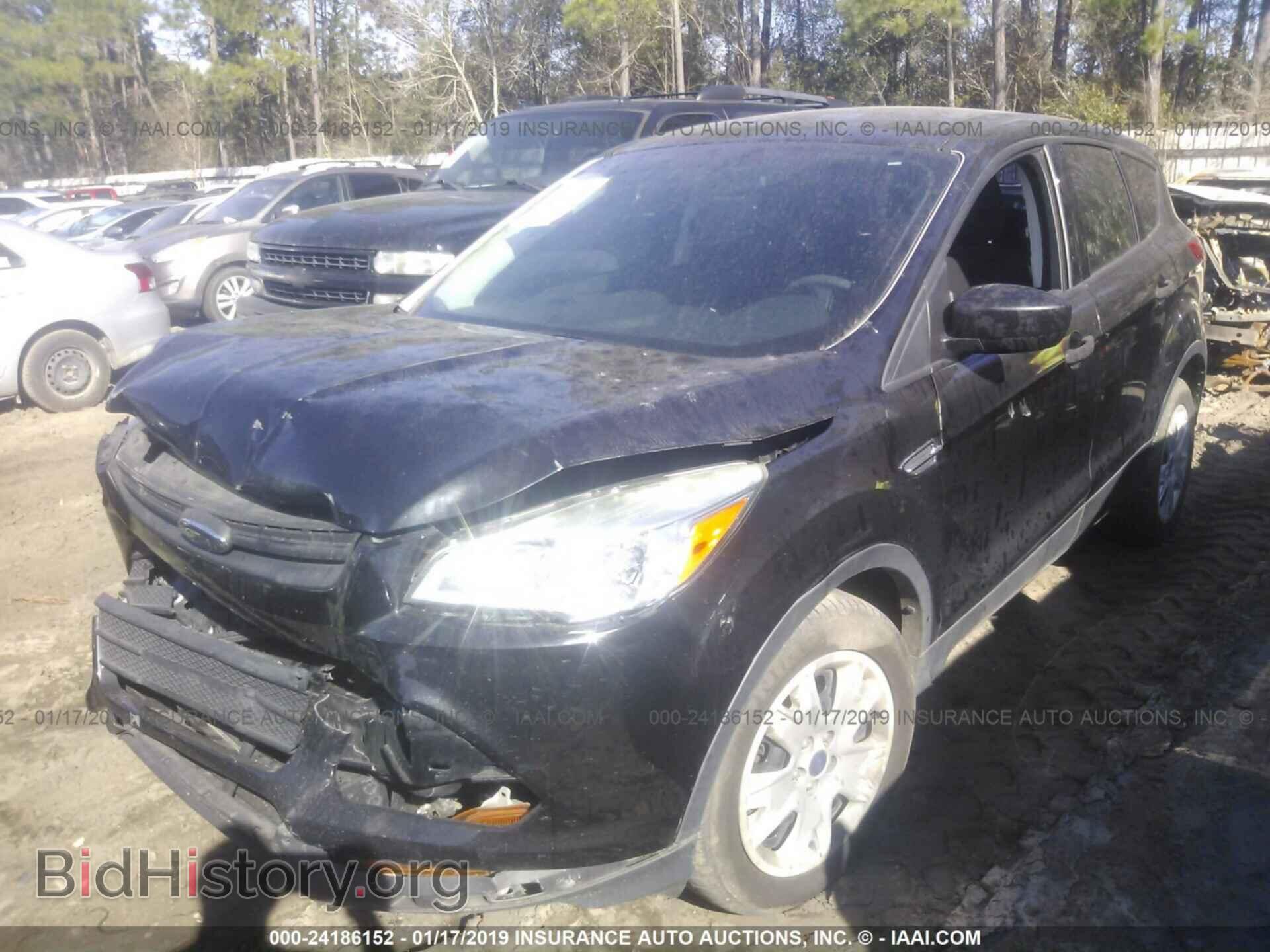 2014 FORD ESCAPE - VIN: 1FMCU0F71EUD91841 - Photo 2