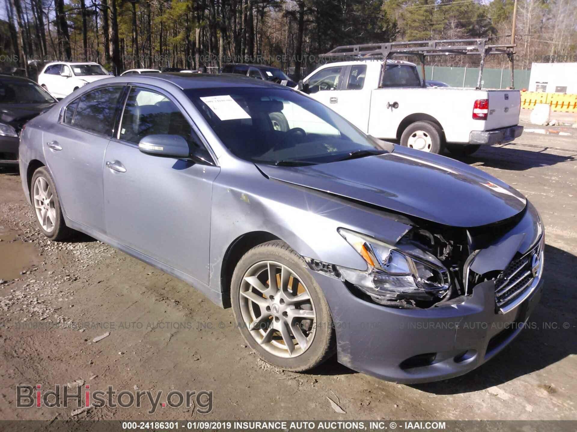 Photo 1N4AA5AP6BC812470 - NISSAN MAXIMA 2011