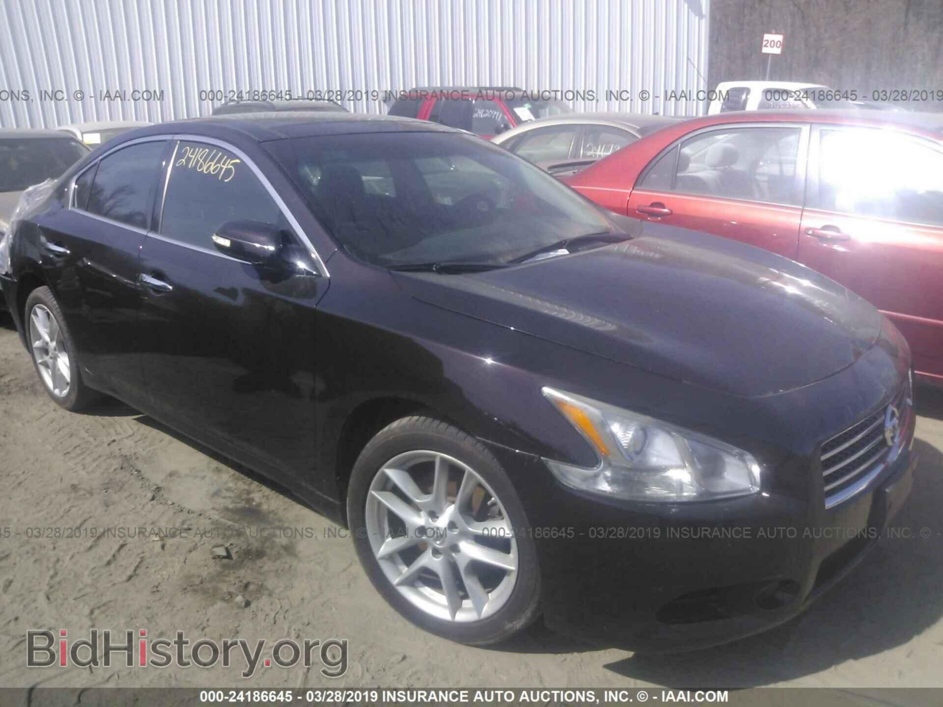 Фотография 1N4AA5AP2AC837042 - NISSAN MAXIMA 2010