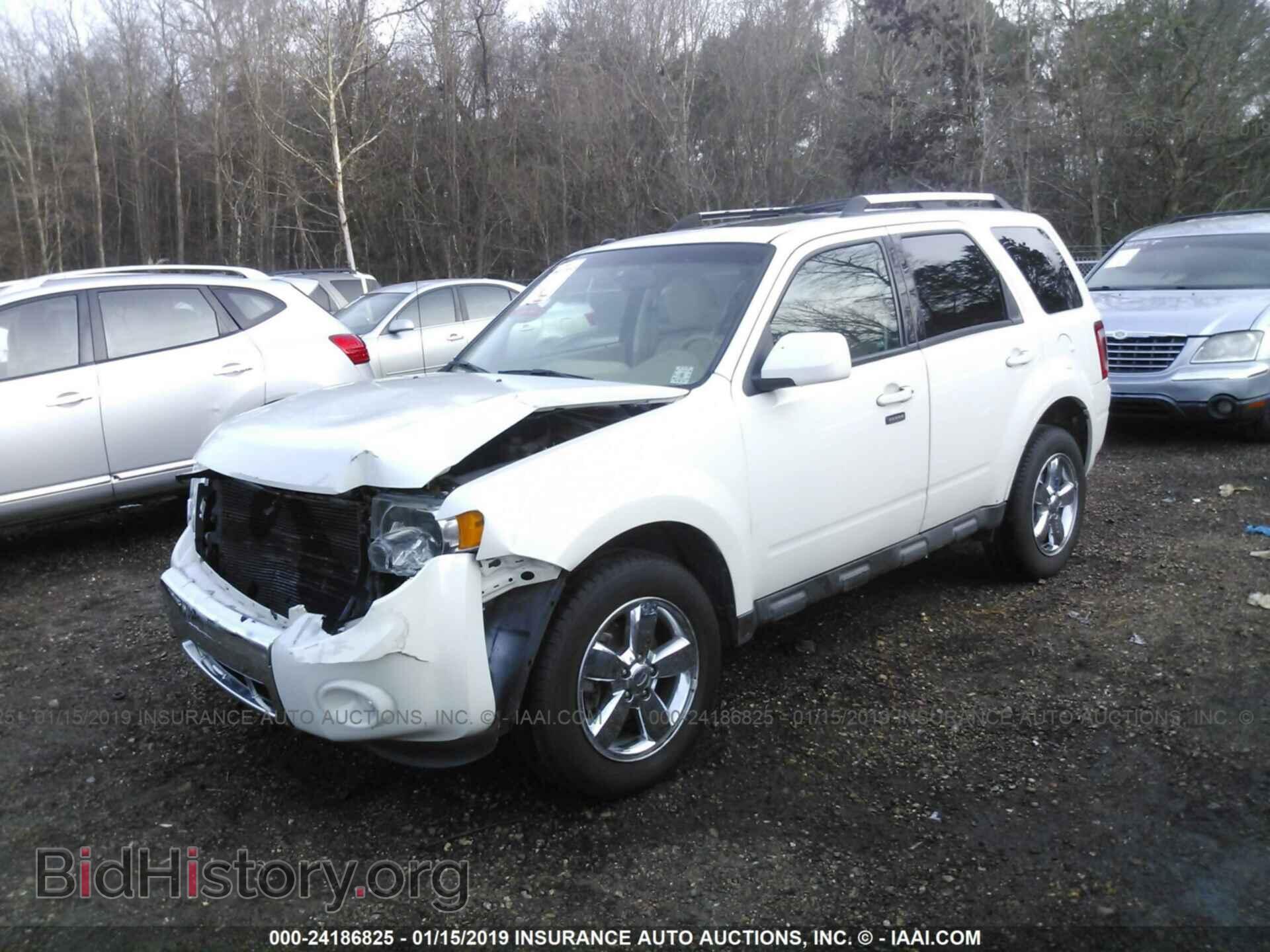 2009 FORD ESCAPE - VIN: 1FMCU04G19KC81277 - Фото 2