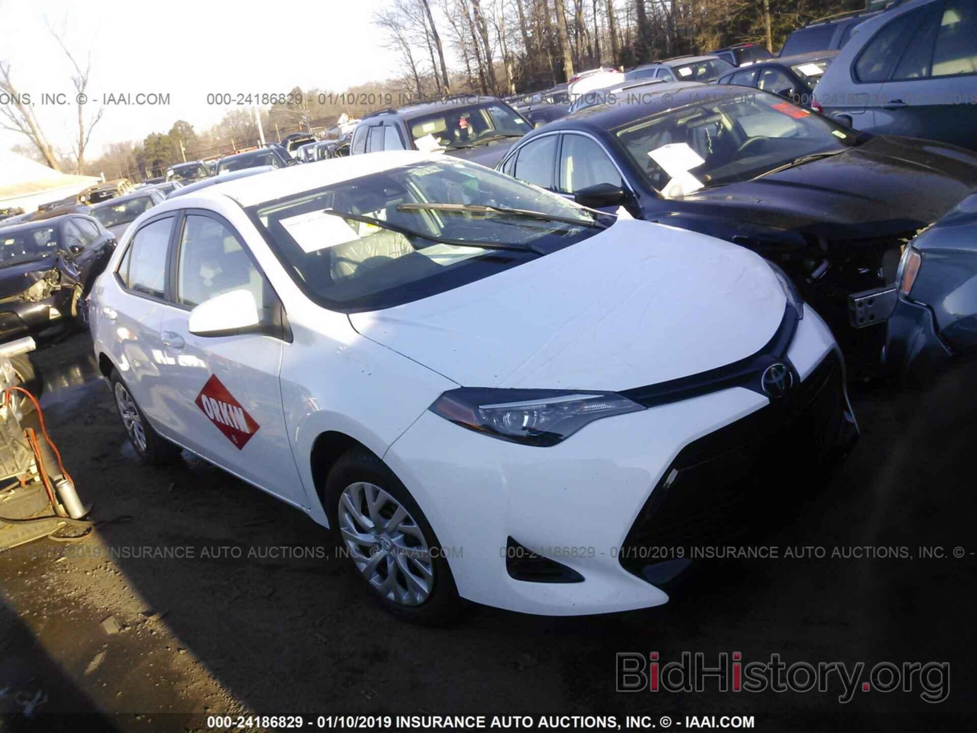 Photo 5YFBURHE9KP895255 - TOYOTA COROLLA 2019