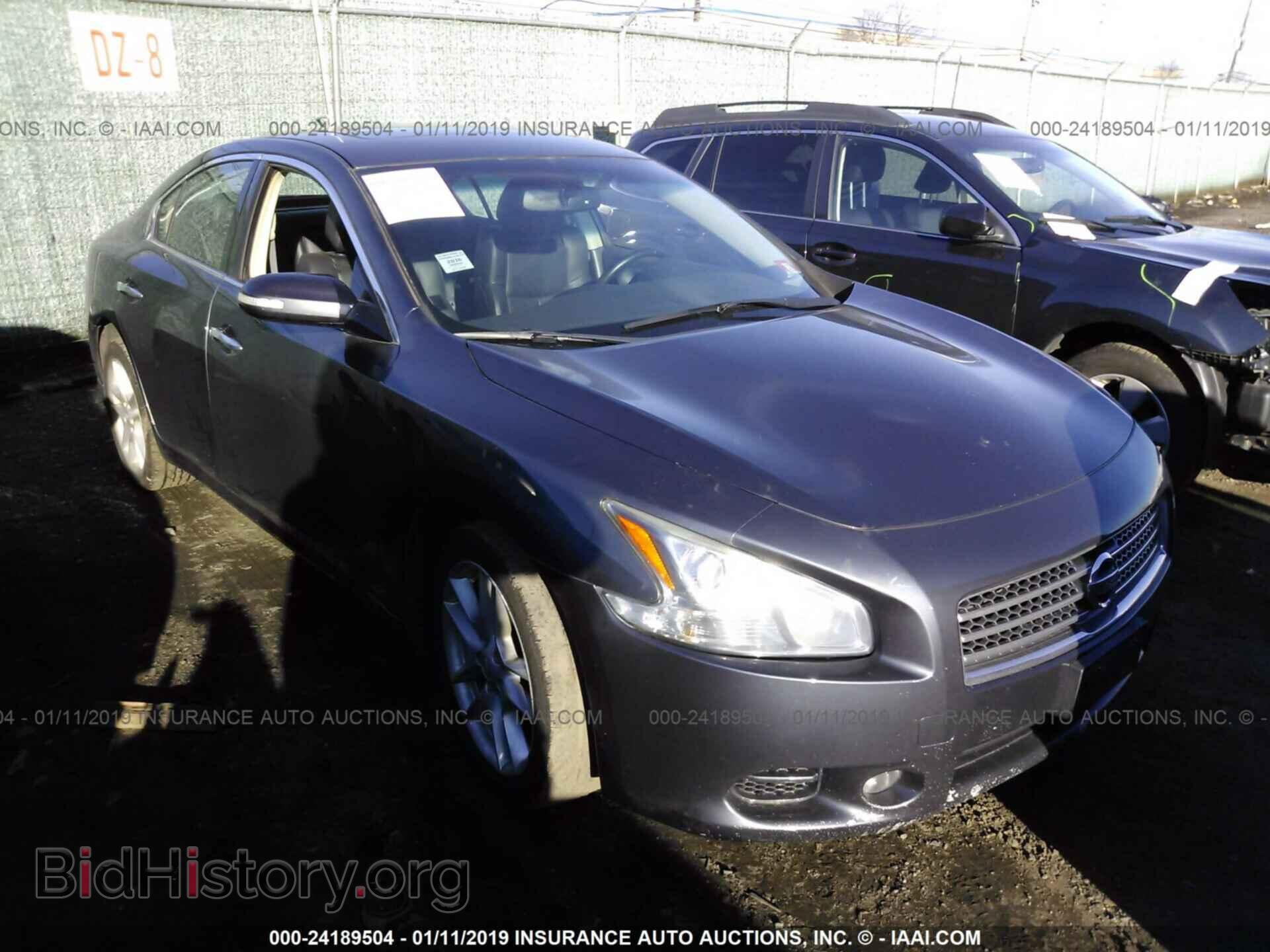 Photo 1N4AA5AP0BC831256 - NISSAN MAXIMA 2011