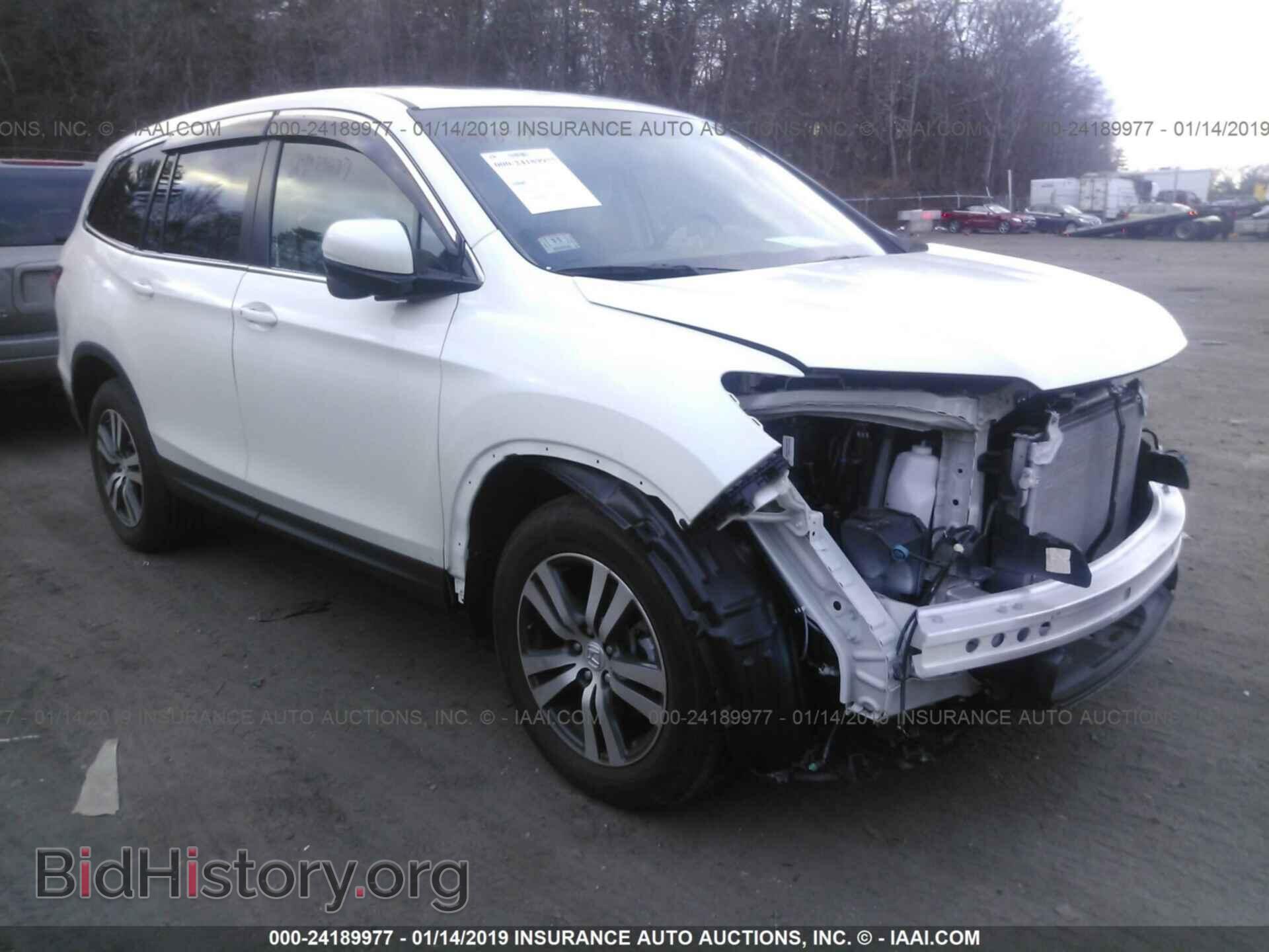 Photo 5FNYF6H77HB059274 - HONDA PILOT 2017