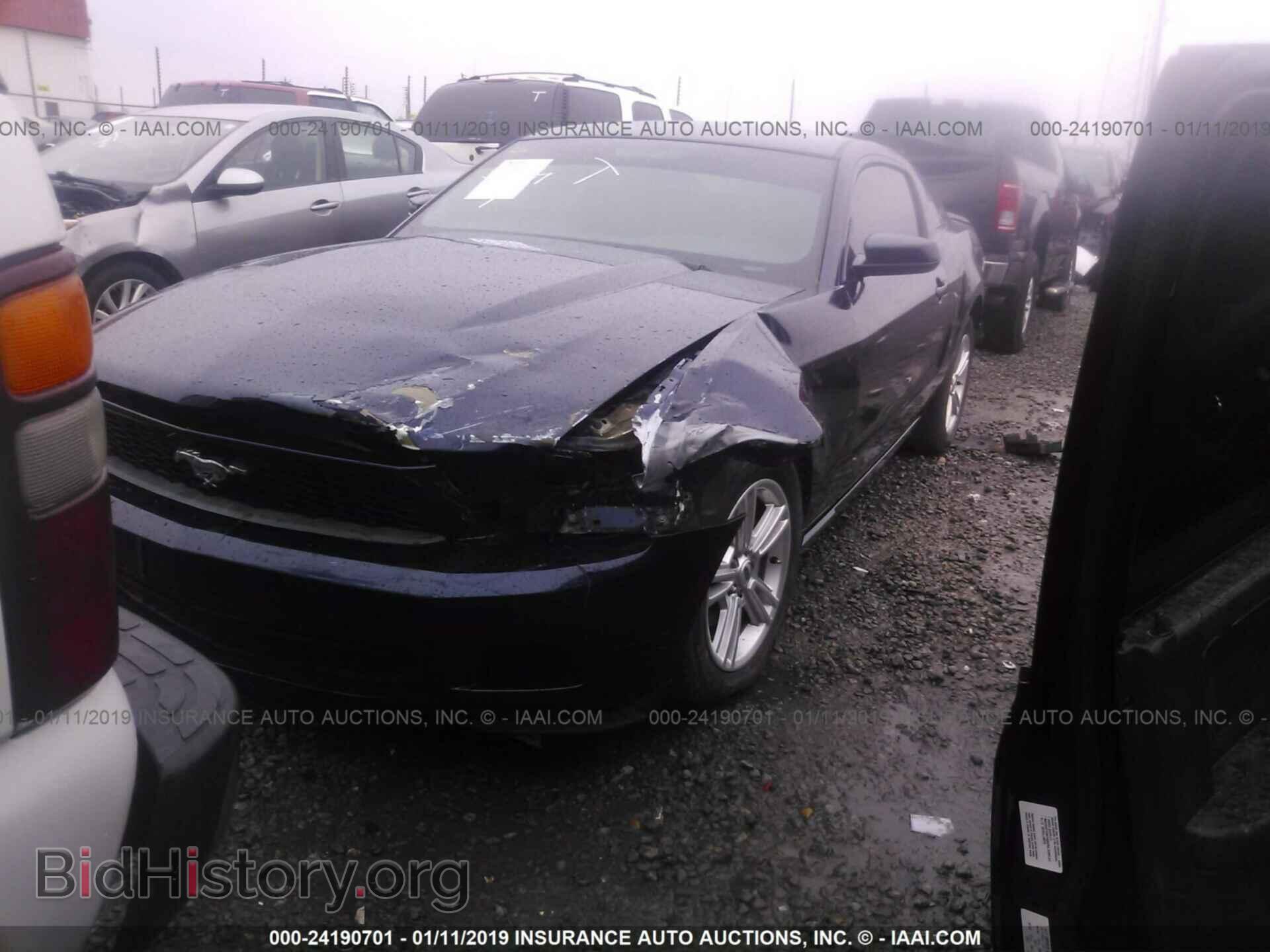 2010 FORD MUSTANG - VIN: 1ZVBP8AN6A5128404 - Фото 2