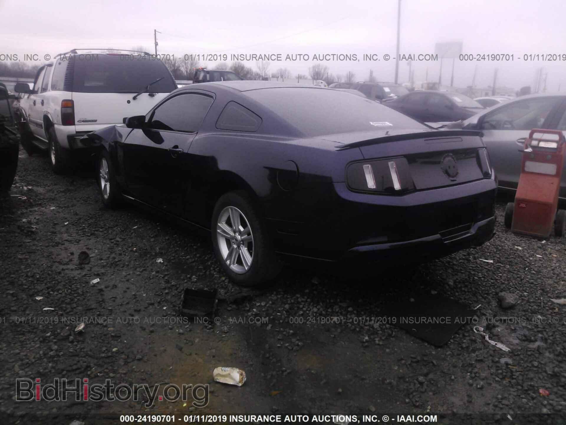 2010 FORD MUSTANG - VIN: 1ZVBP8AN6A5128404 - Фото 3