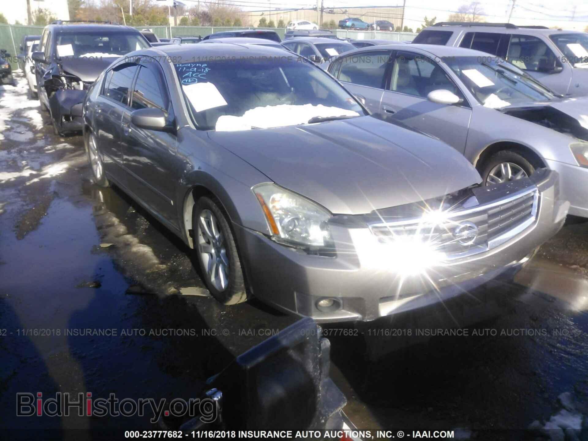 Photo 1N4BA41E48C821920 - NISSAN MAXIMA 2008