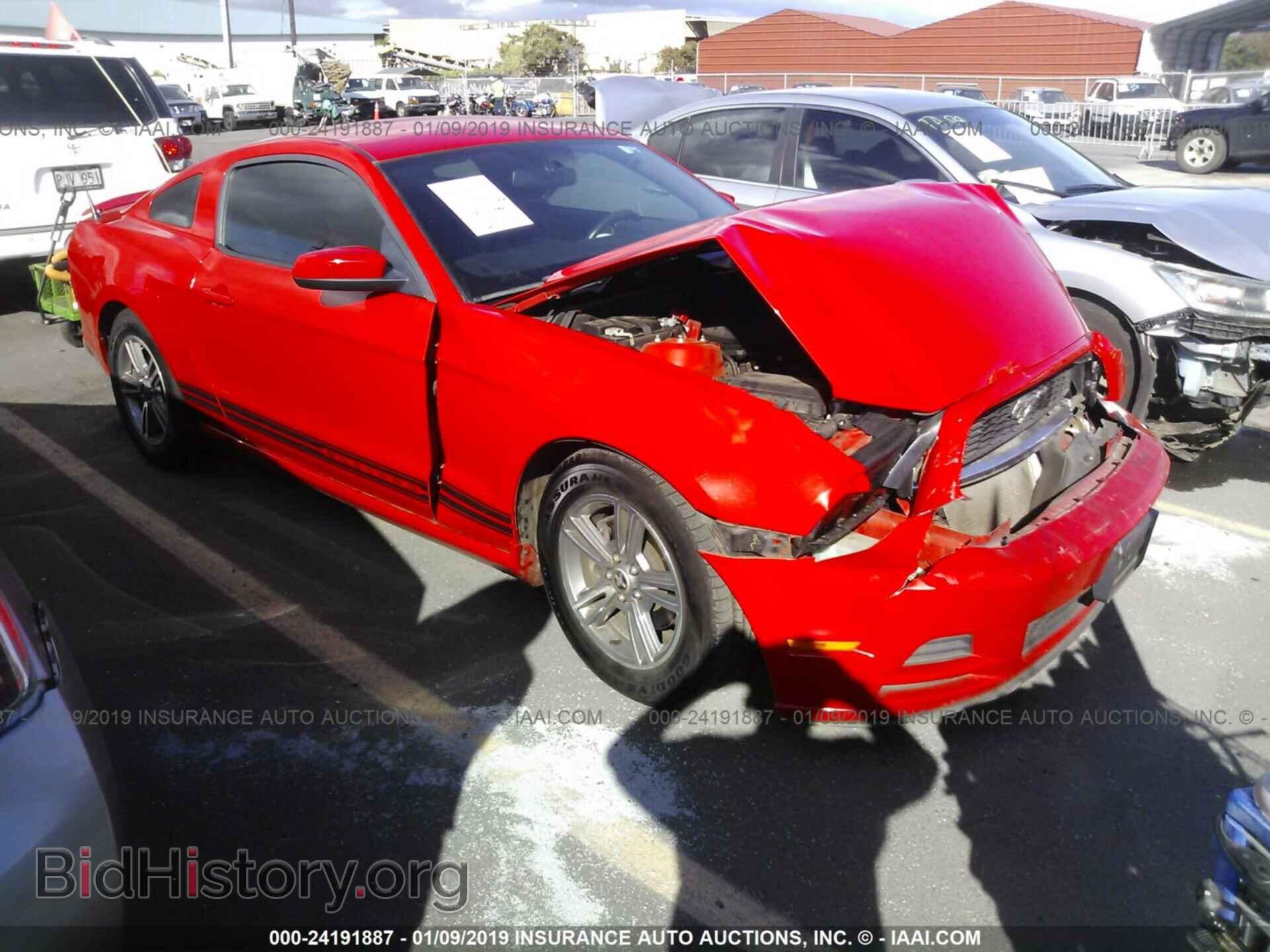 Photo 1ZVBP8AM4D5227542 - FORD MUSTANG 2013