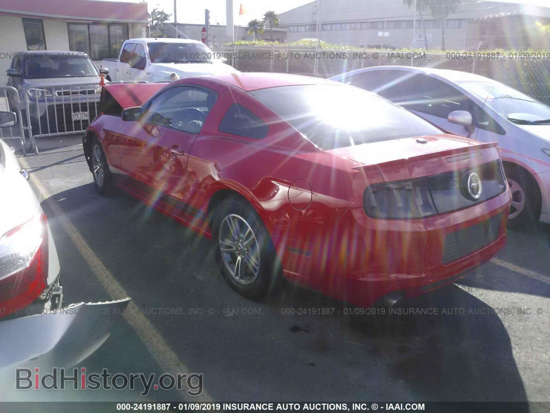 2013 FORD MUSTANG - VIN: 1ZVBP8AM4D5227542 - Фото 3