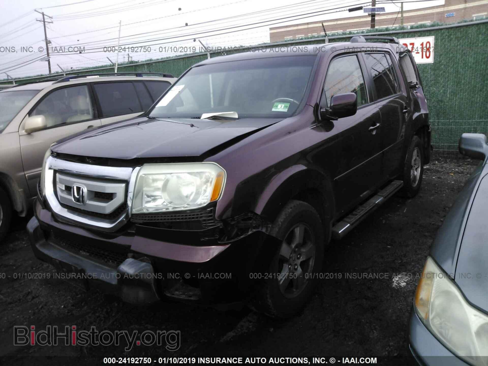 2009 HONDA PILOT - VIN: 5FNYF48699B011918 - Фото 2