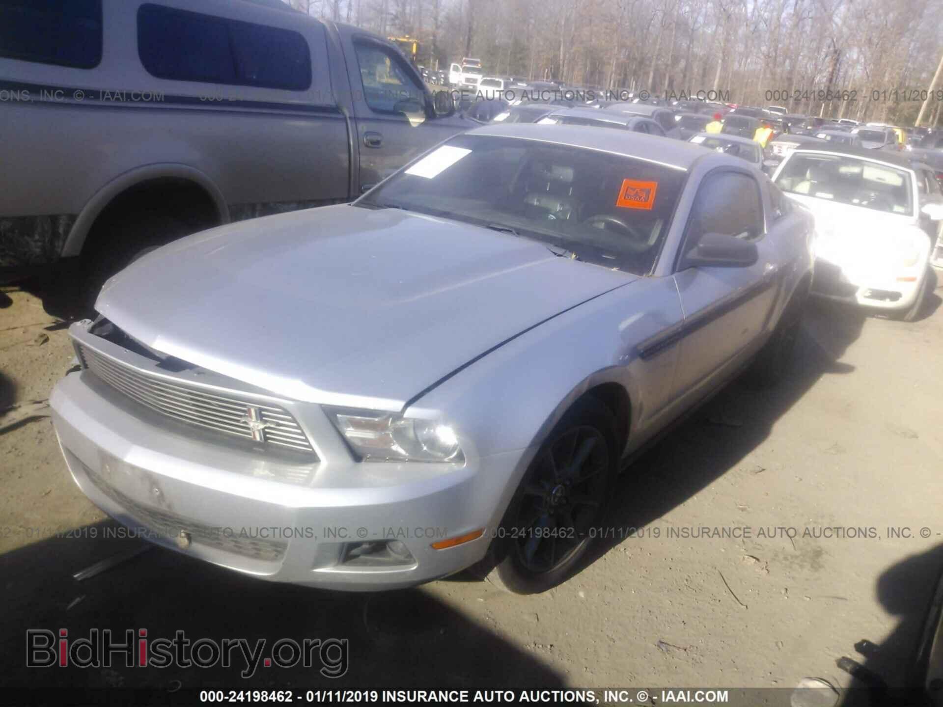 2011 FORD MUSTANG - VIN: 1ZVBP8AM7B5133331 - Фото 2