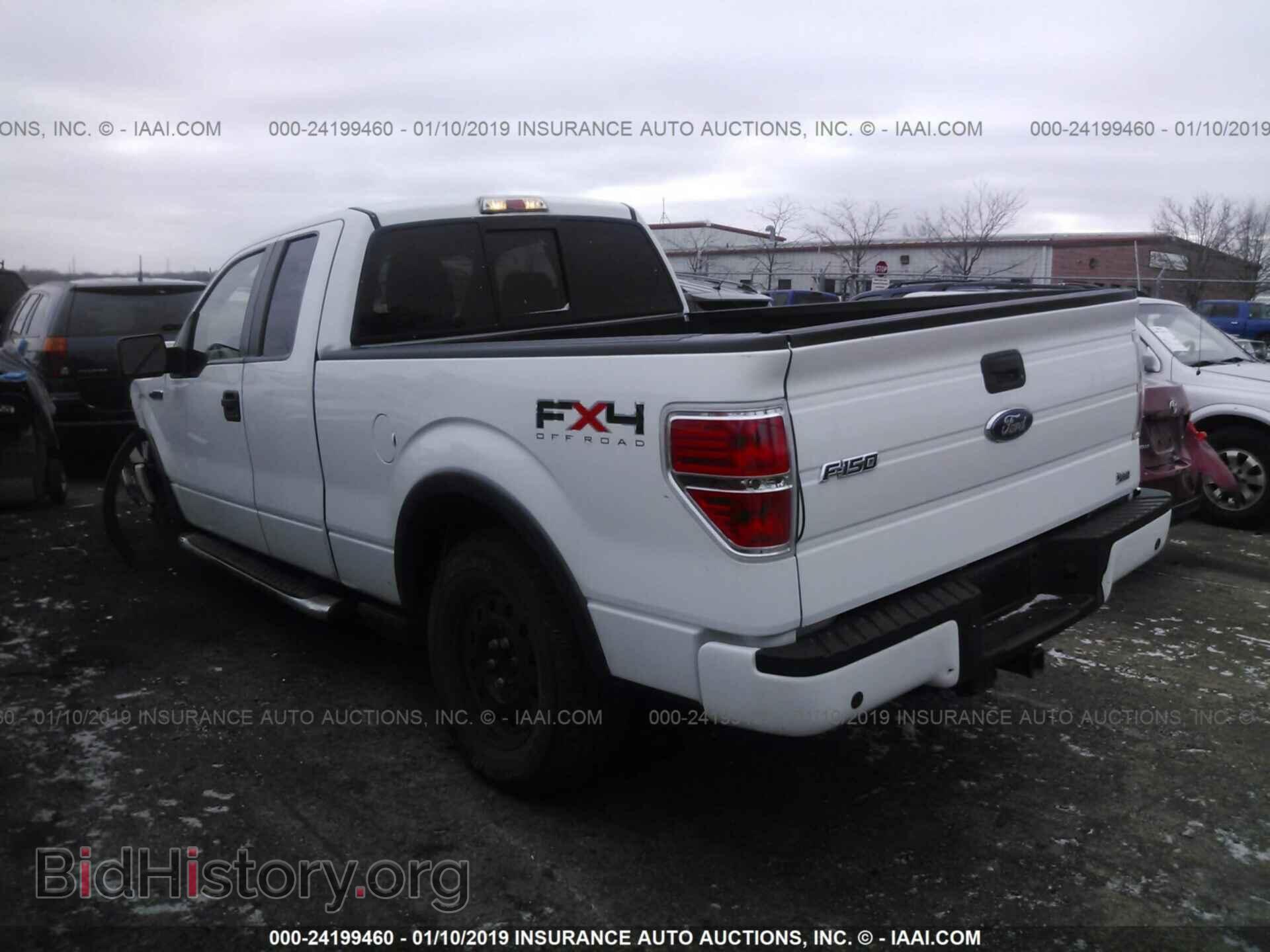 2010 FORD F150 - VIN: 1FTFX1EV3AFB83909 - Фото 3