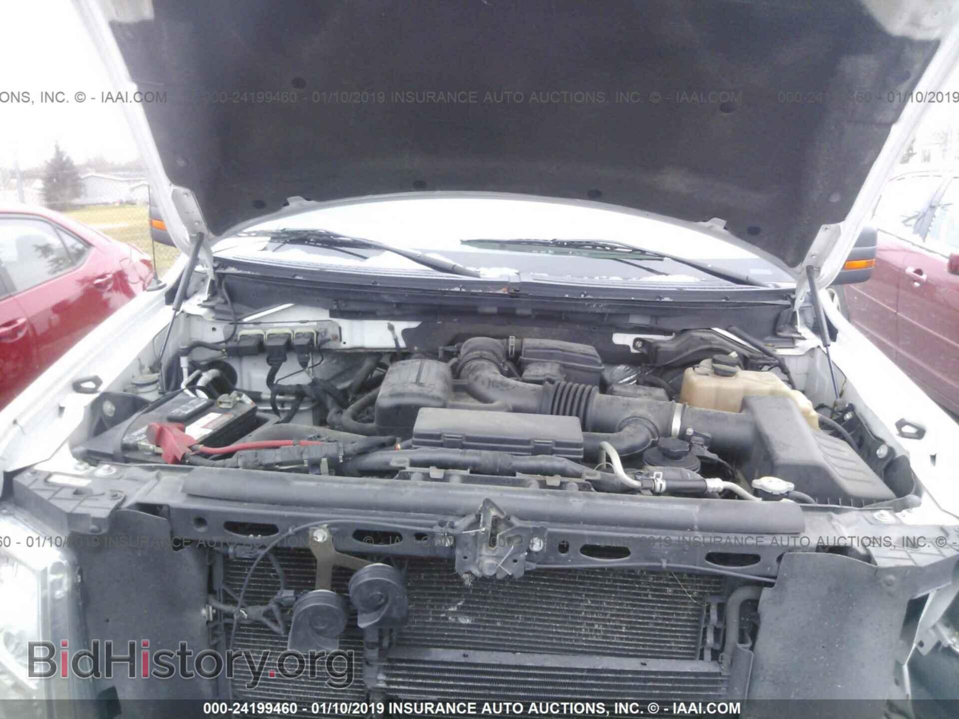 2010 FORD F150 - VIN: 1FTFX1EV3AFB83909 - Фото 10