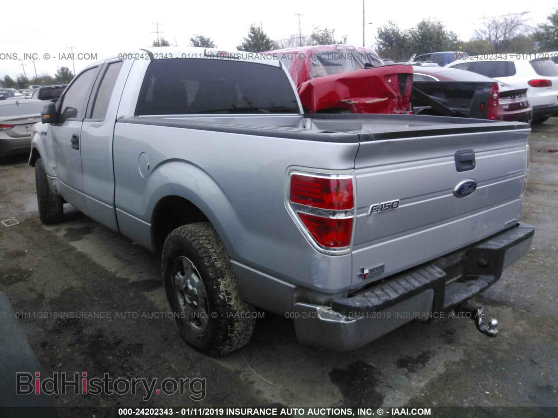 2013 FORD F150 - VIN: 1FTFX1CF7DKD28702 - Фото 3