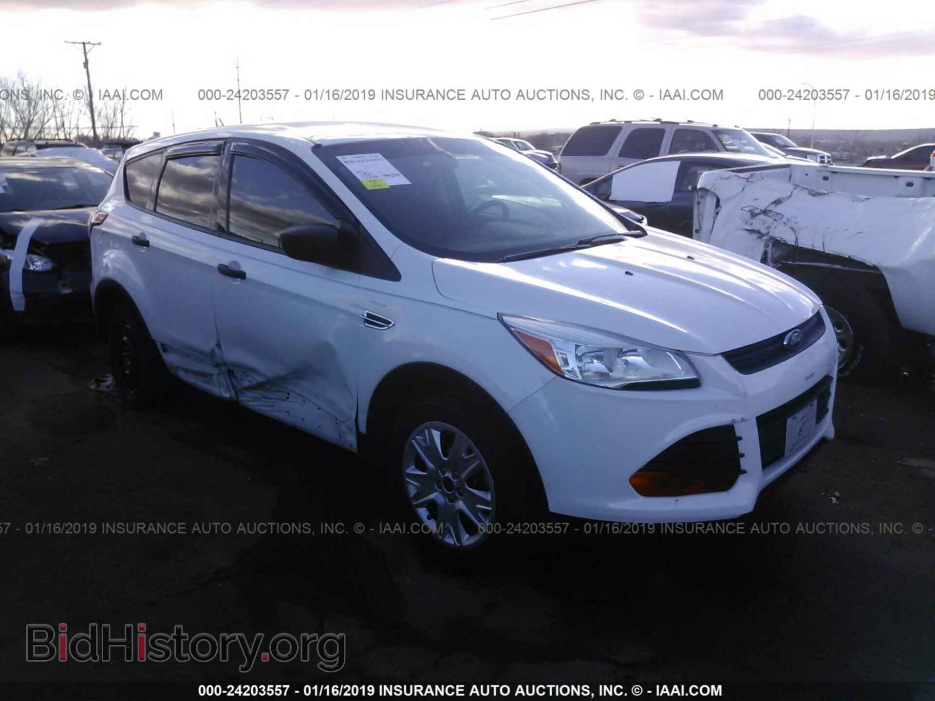 Photo 1FMCU0F74DUC54343 - FORD ESCAPE 2013