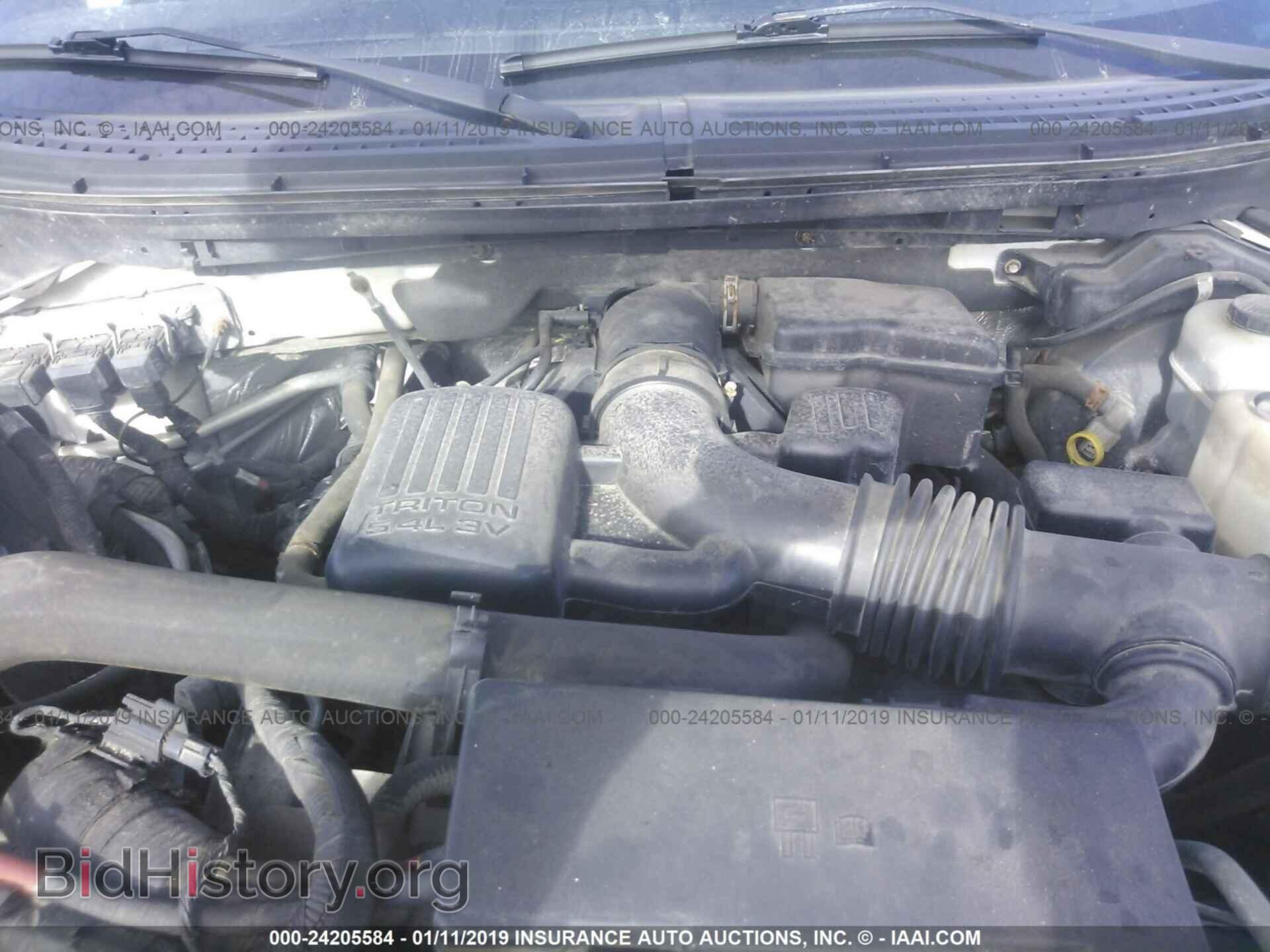 2010 FORD F150 - VIN: 1FTFW1EV6AFD14639 - Фото 10