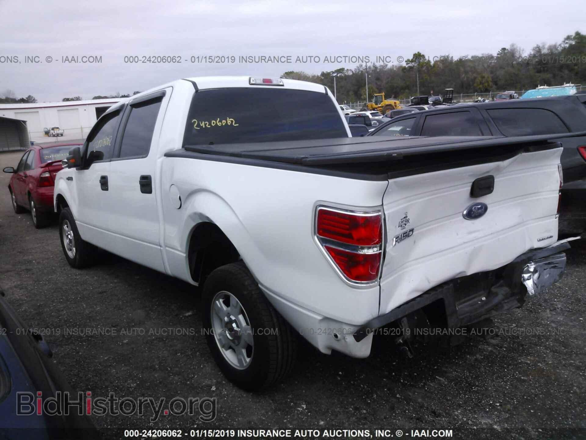 2014 FORD F150 - VIN: 1FTFW1CF5EFA41016 - Фото 3