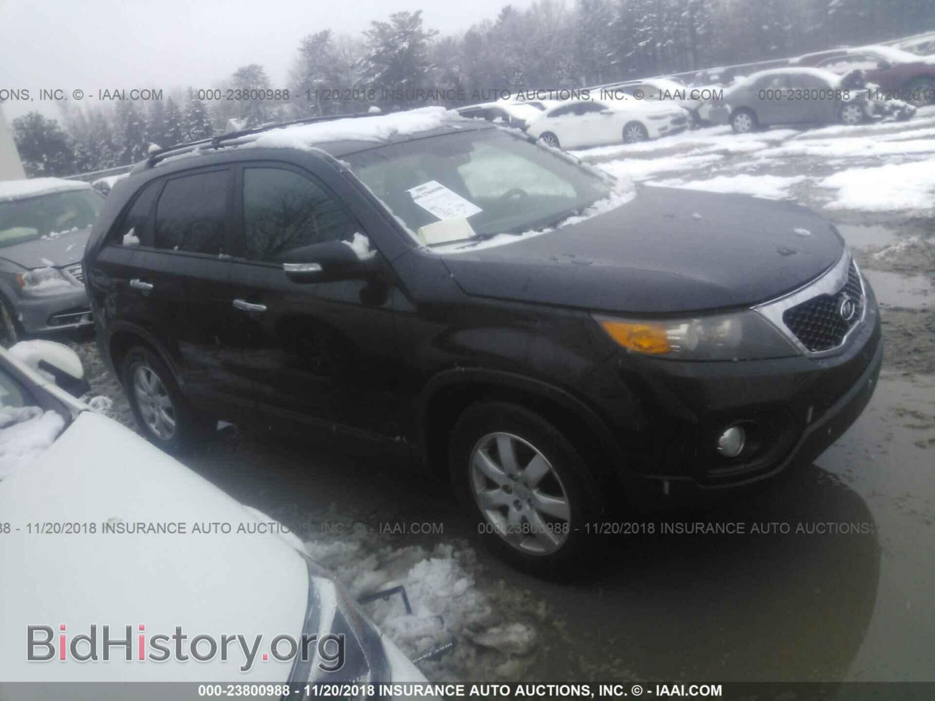 Фотография 5XYKT4A64CG227197 - KIA SORENTO 2012
