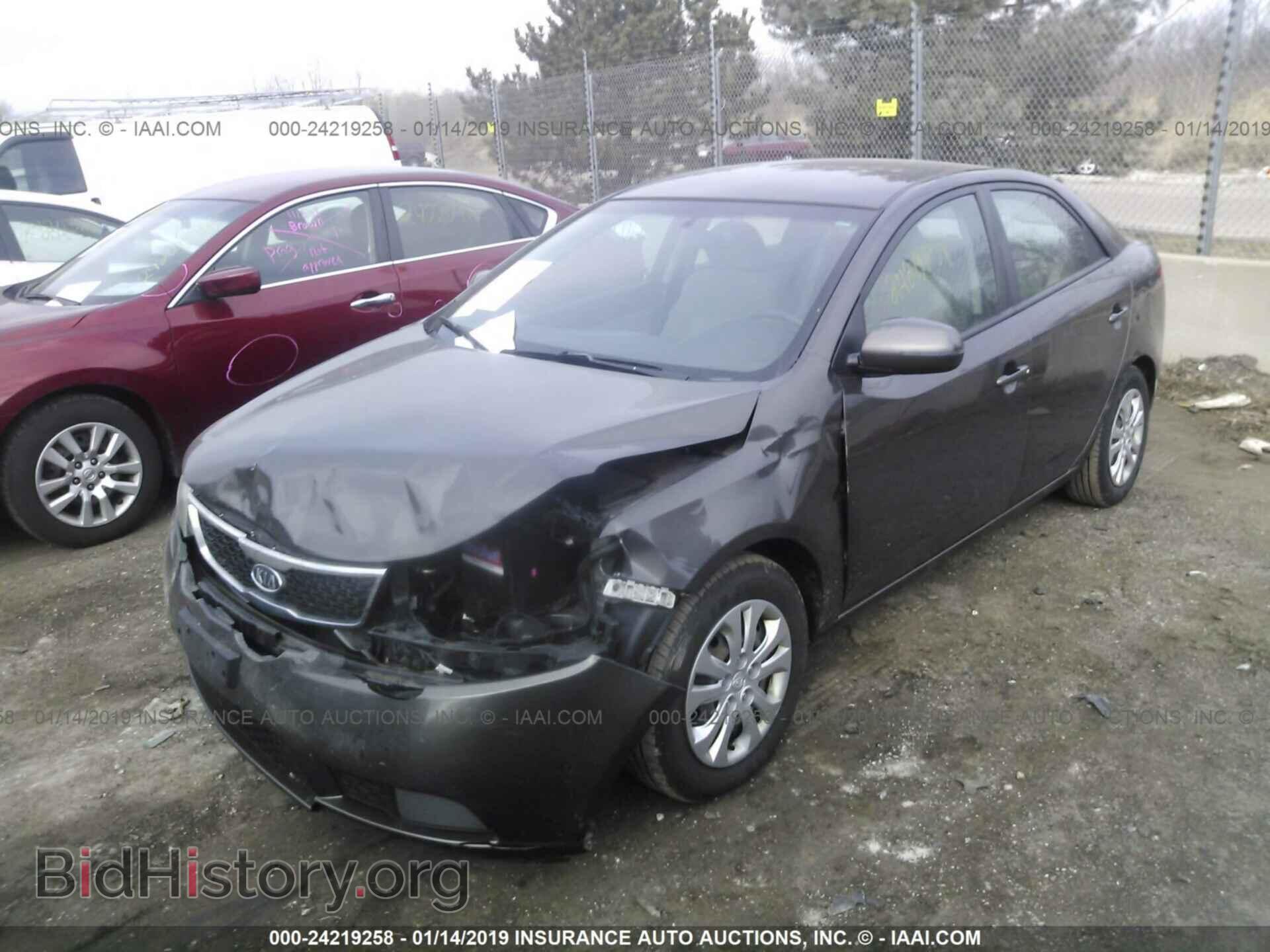 2011 KIA FORTE - VIN: KNAFU4A21B5426059 - Фото 2