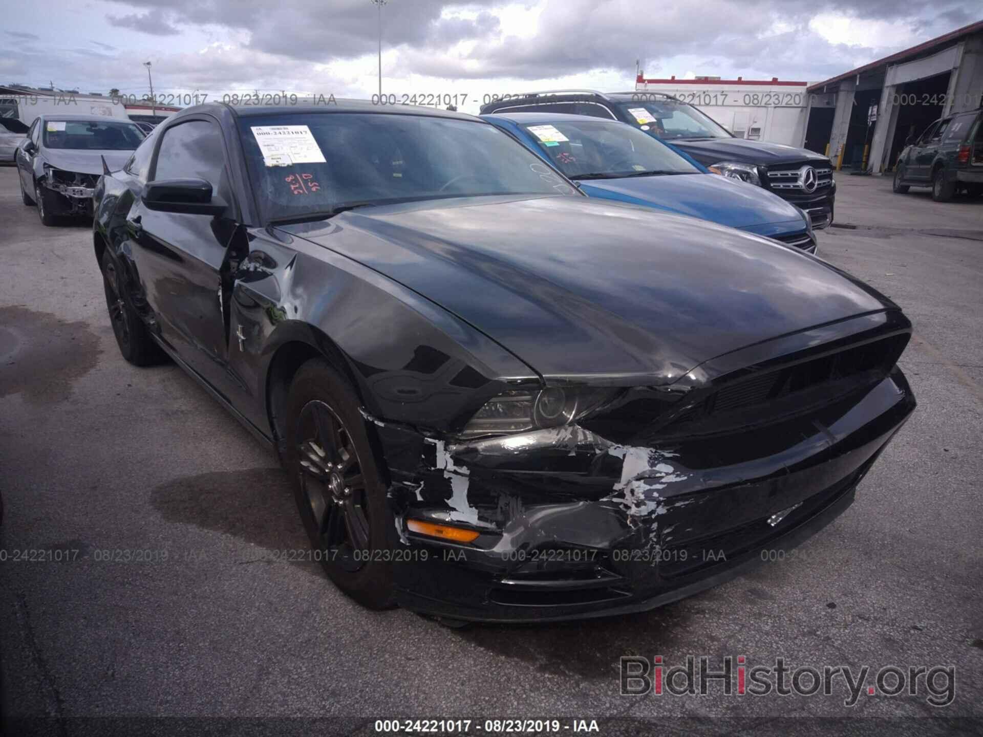 Photo 1ZVBP8AM5D5243586 - FORD MUSTANG 2013
