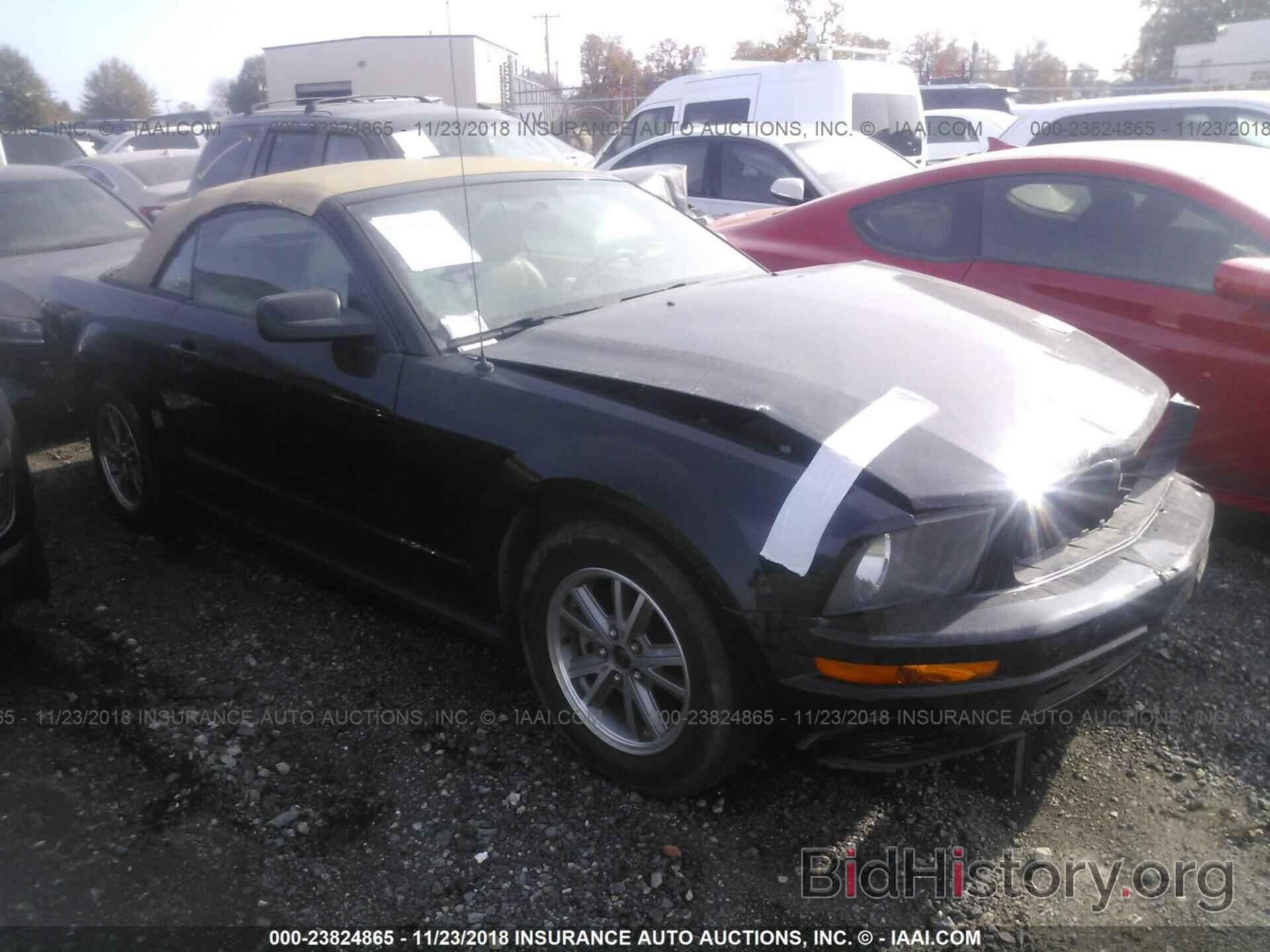 Photo 1ZVBP8AMXC5284021 - FORD MUSTANG 2012
