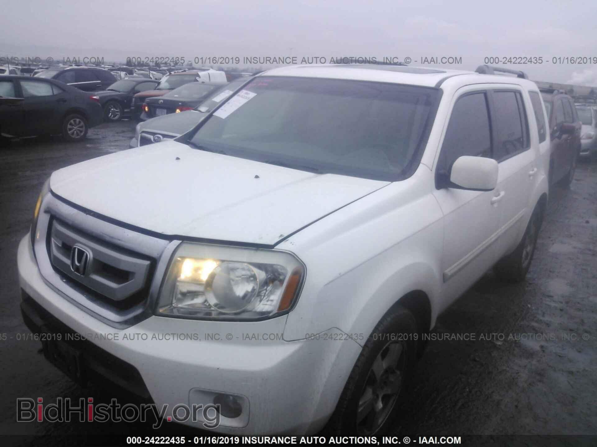 2011 HONDA PILOT - VIN: 5FNYF3H56BB031955 - Фото 2