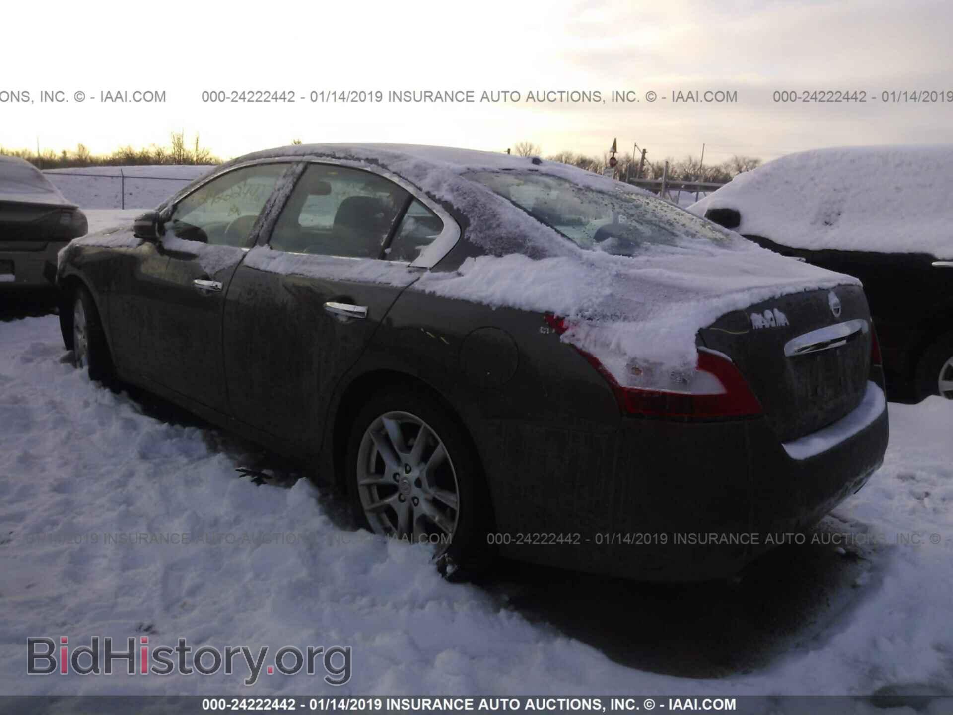 2009 NISSAN MAXIMA - VIN: 1N4AA51E59C815353 - Фото 3