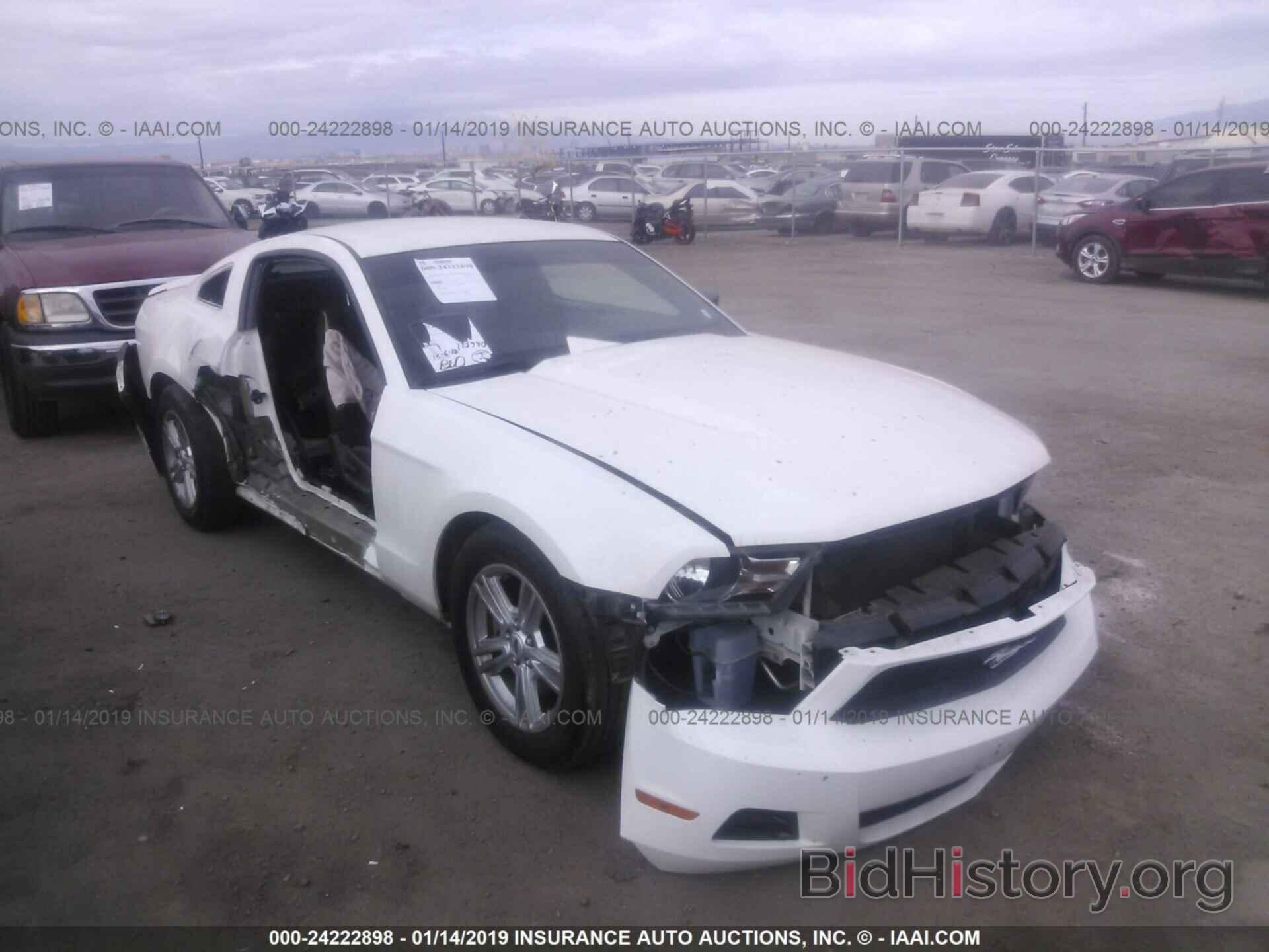 Photo 1ZVBP8AMXC5270412 - FORD MUSTANG 2012
