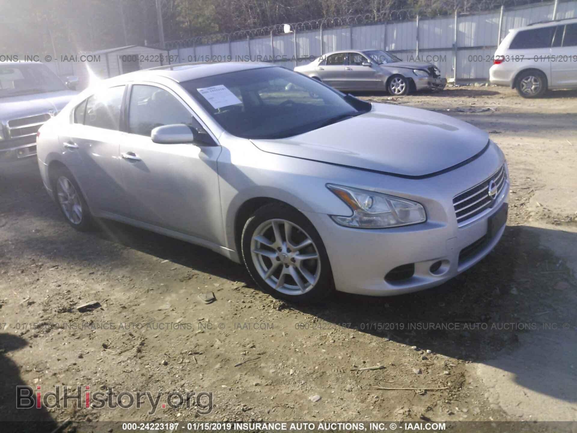 Photo 1N4AA5AP7BC868711 - NISSAN MAXIMA 2011