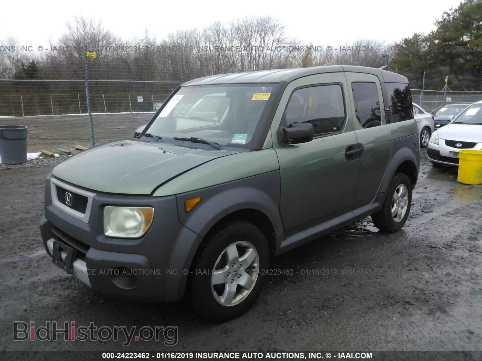 2005 HONDA ELEMENT - VIN: 5J6YH18695L017700 - Фото 2