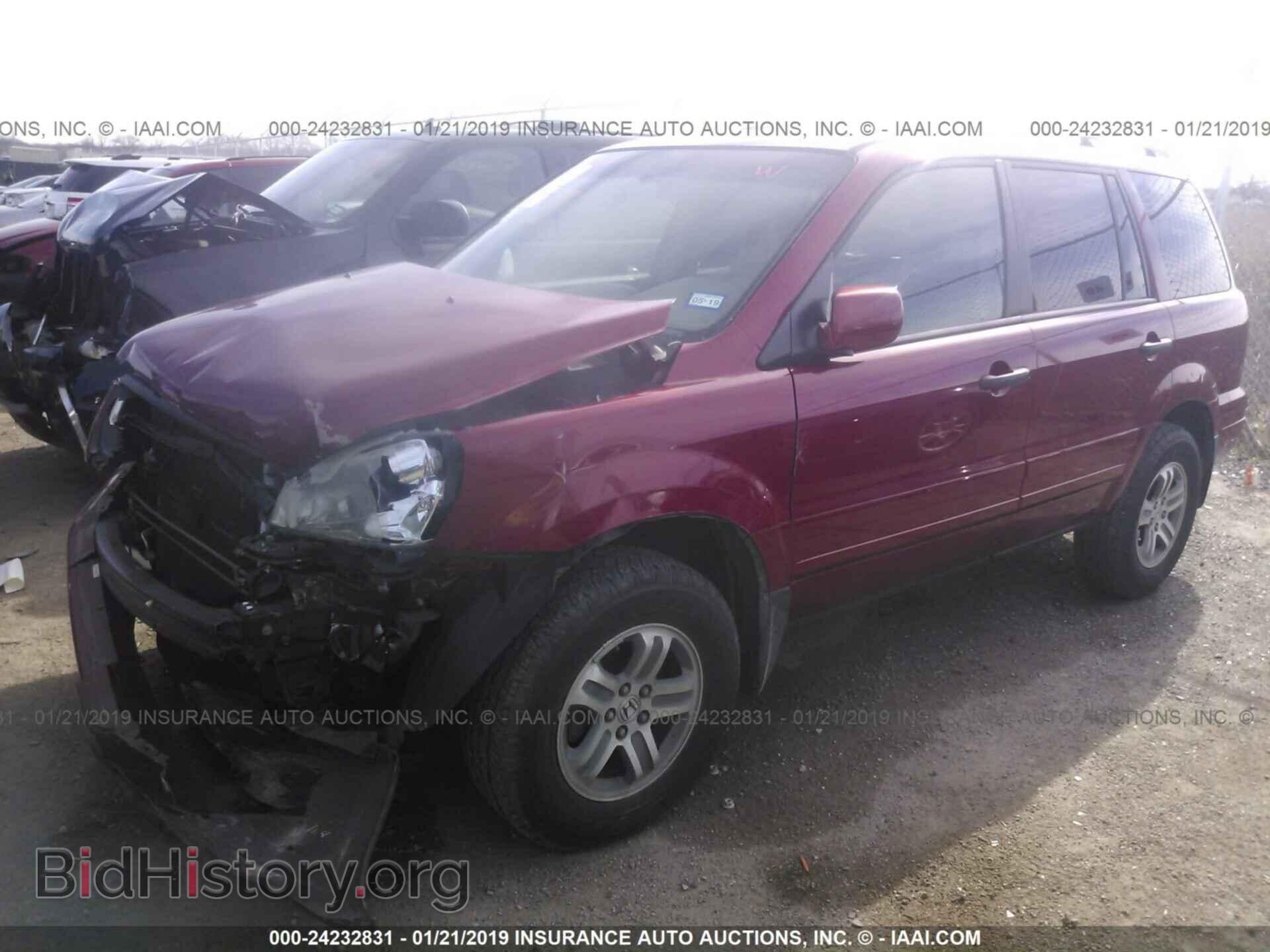2005 HONDA PILOT - VIN: 5FNYF18505B010754 - Фото 2