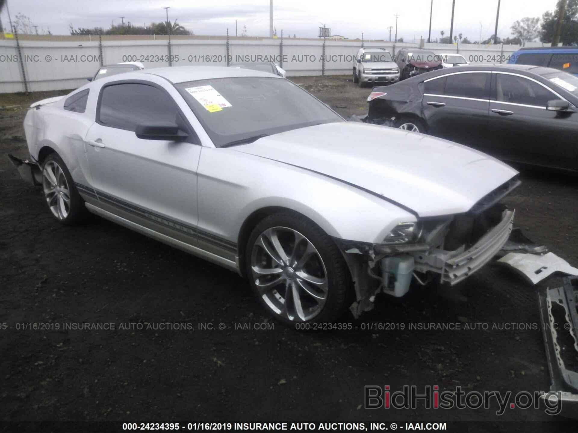Photo 1ZVBP8AMXD5221518 - FORD MUSTANG 2013