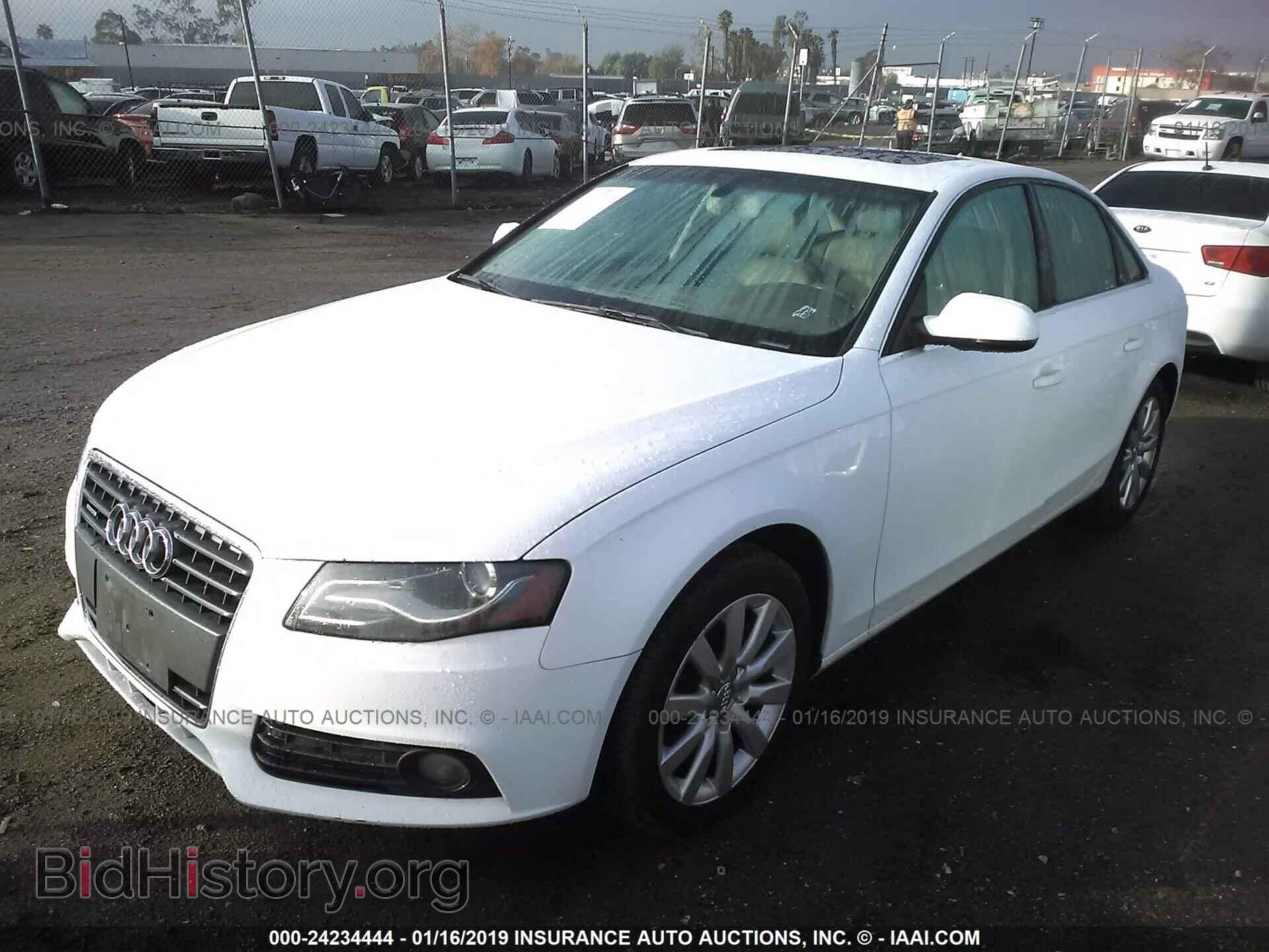 2011 AUDI A4 - VIN: WAUFFAFL5BN004967 - Фото 2