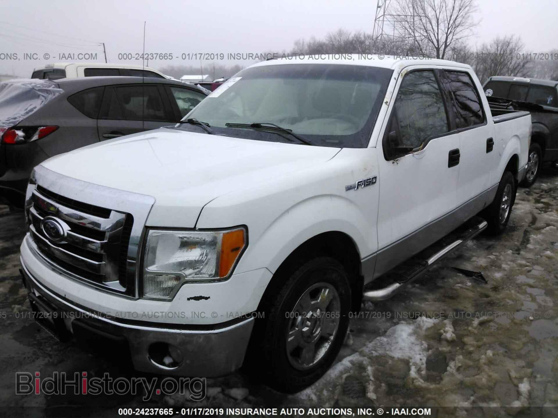 2010 FORD F150 - VIN: 1FTEW1C87AFA21034 - Фото 2