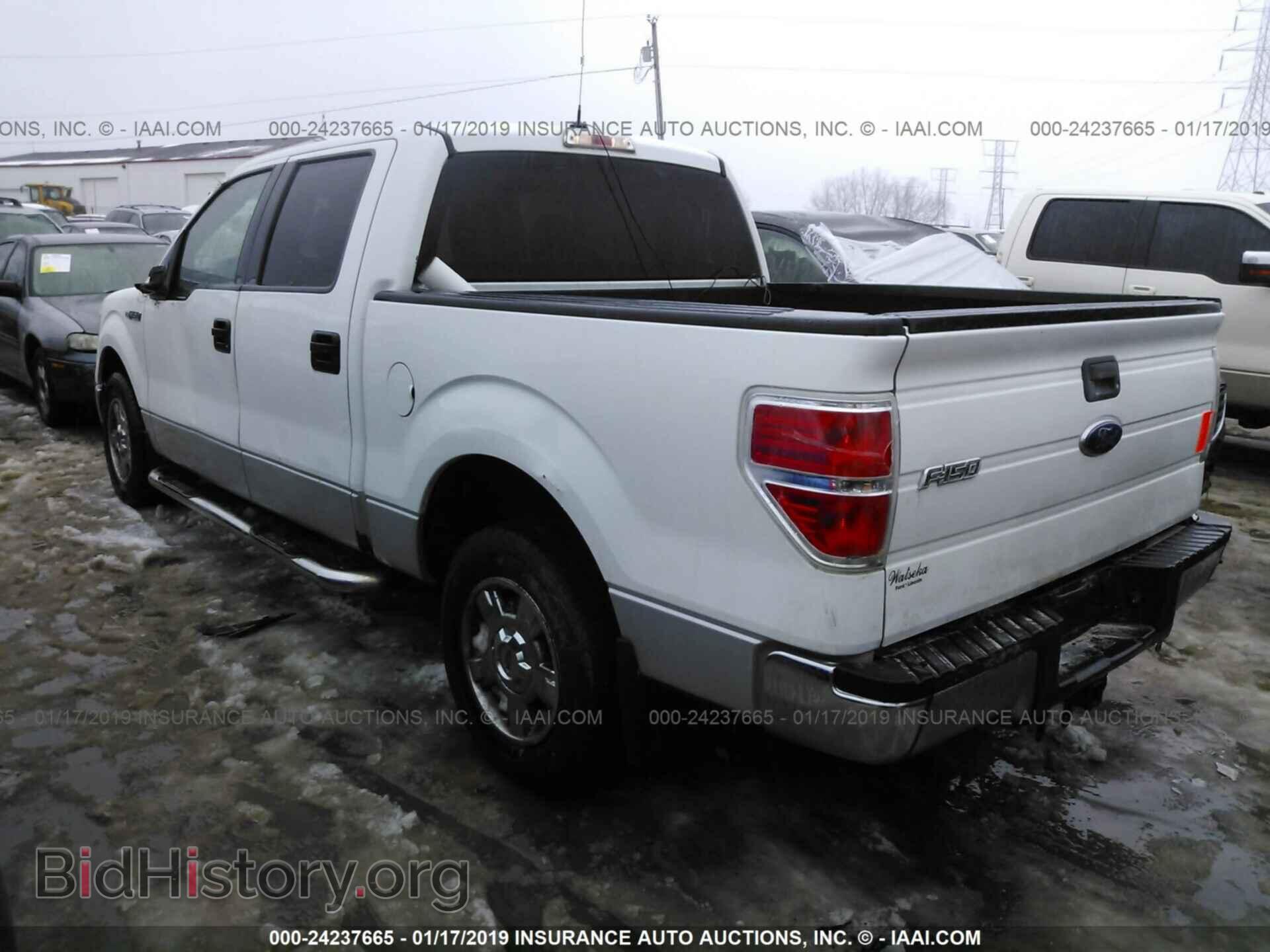 2010 FORD F150 - VIN: 1FTEW1C87AFA21034 - Фото 3