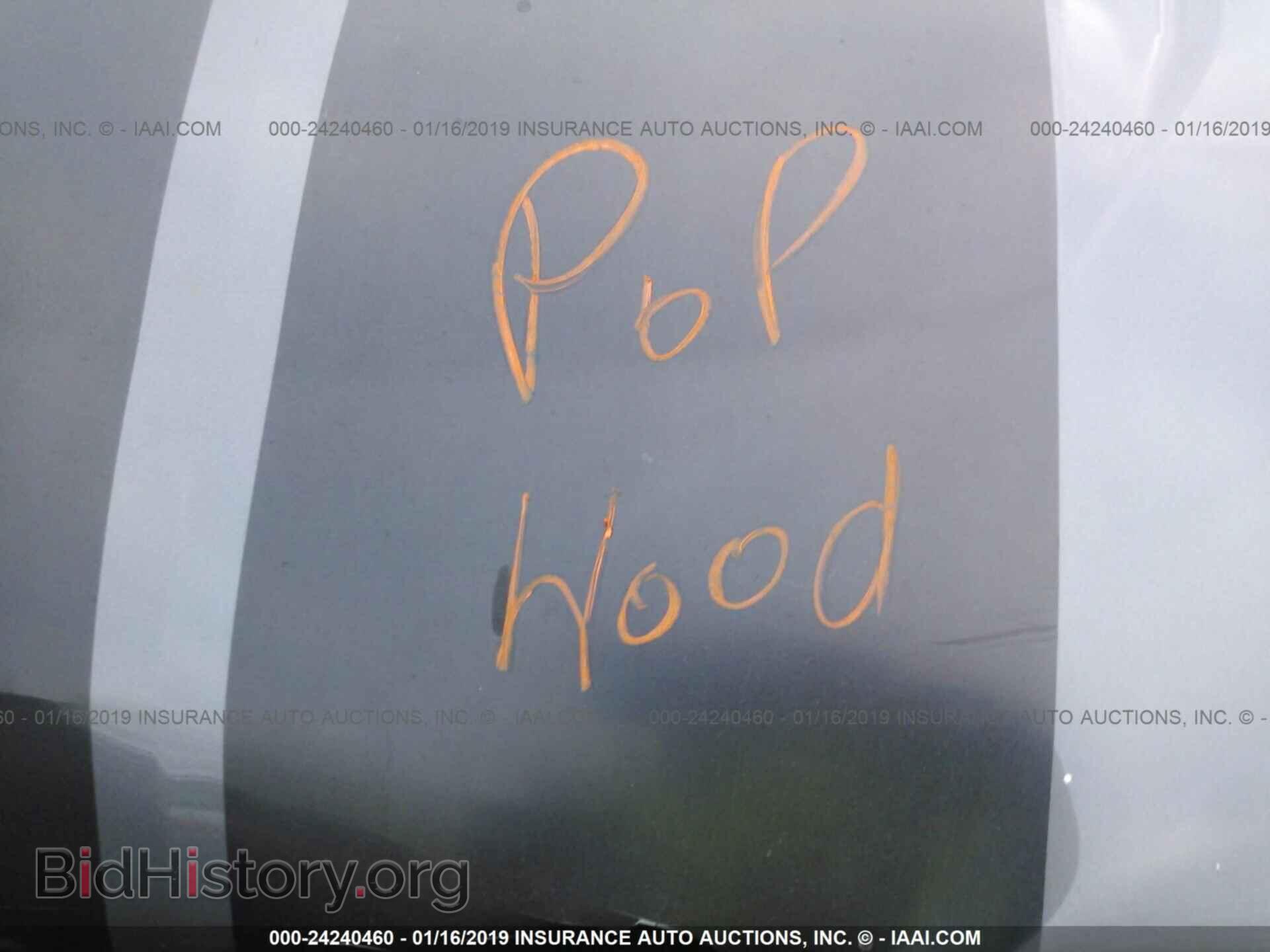 2005 HONDA PILOT - VIN: 5FNYF18655B004876 - Photo 10