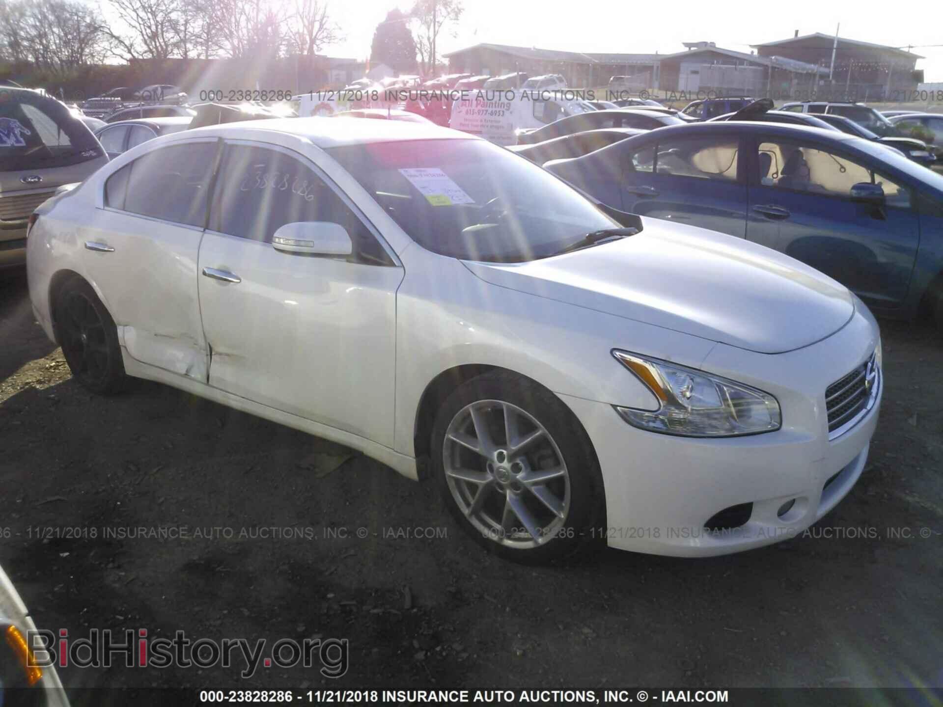 Фотография 1N4AA5AP1BC856473 - NISSAN MAXIMA 2011