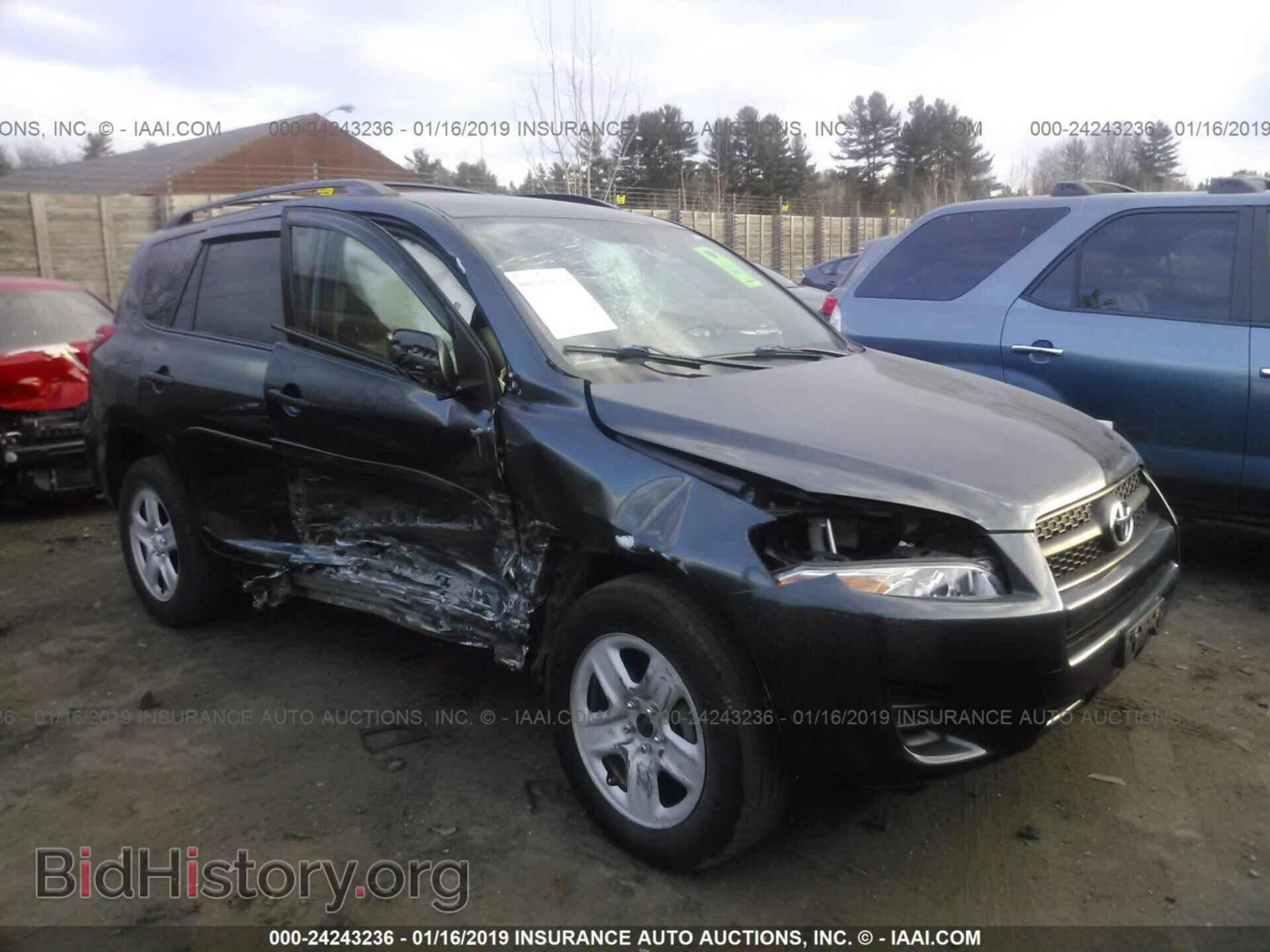 Фотография 2T3BF4DV5BW092550 - TOYOTA RAV4 2011