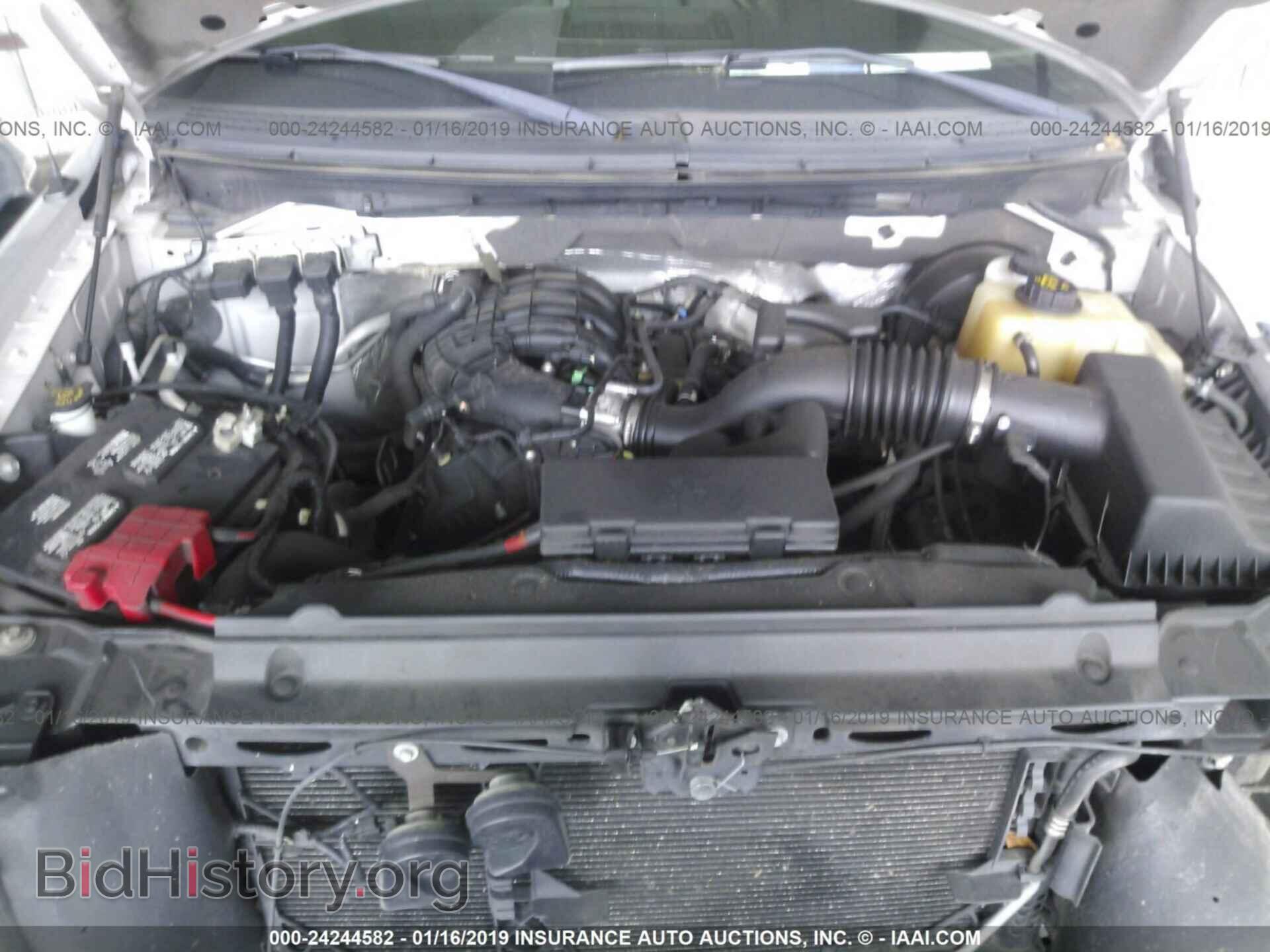 2011 FORD F150 - VIN: 1FTMF1CM0BFD01761 - Photo 10