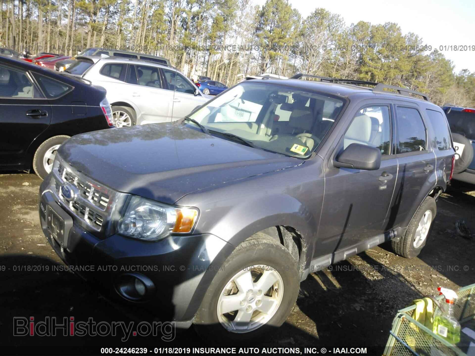 2011 FORD ESCAPE - VIN: 1FMCU0DG7BKA25666 - Фото 2