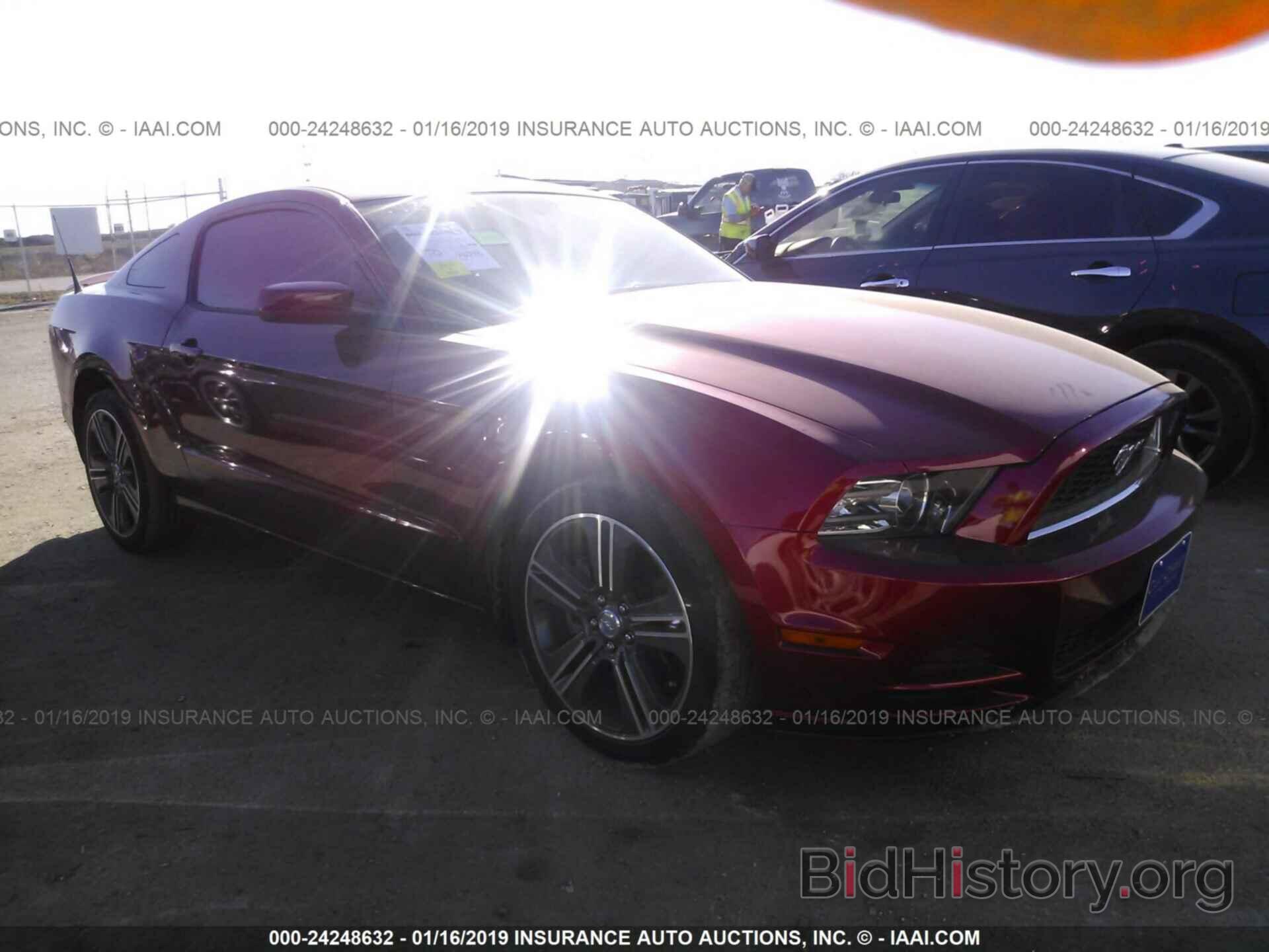 Photo 1ZVBP8AM3D5232053 - FORD MUSTANG 2013