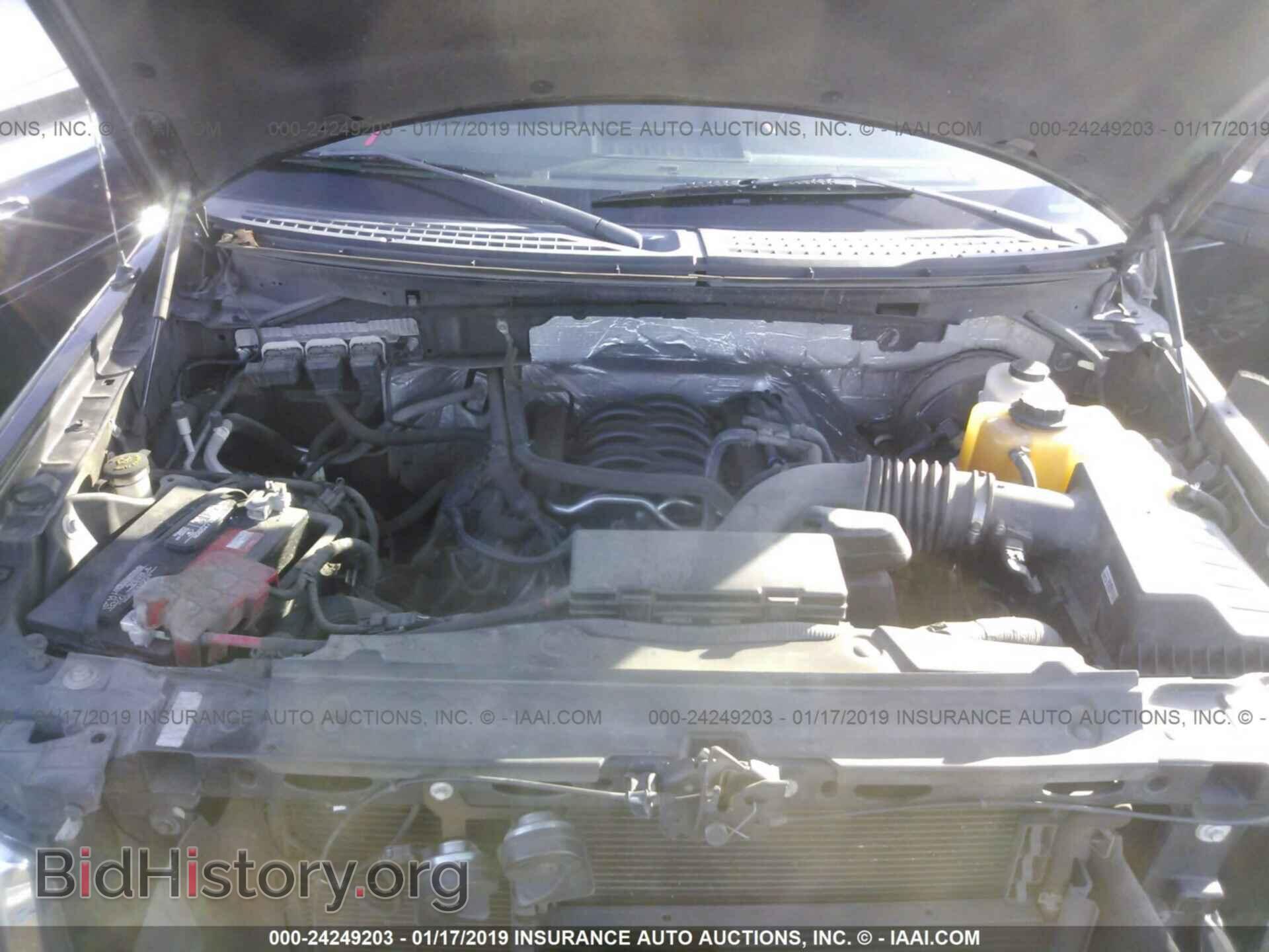 2013 FORD F150 - VIN: 1FTMF1CFXDKE15830 - Фото 10