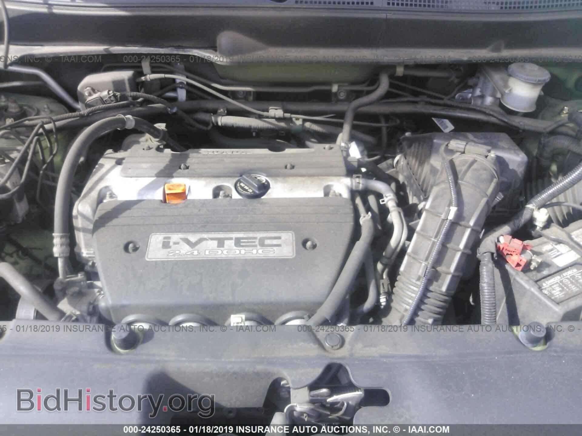 2007 HONDA ELEMENT - VIN: 5J6YH18777L003922 - Фото 10