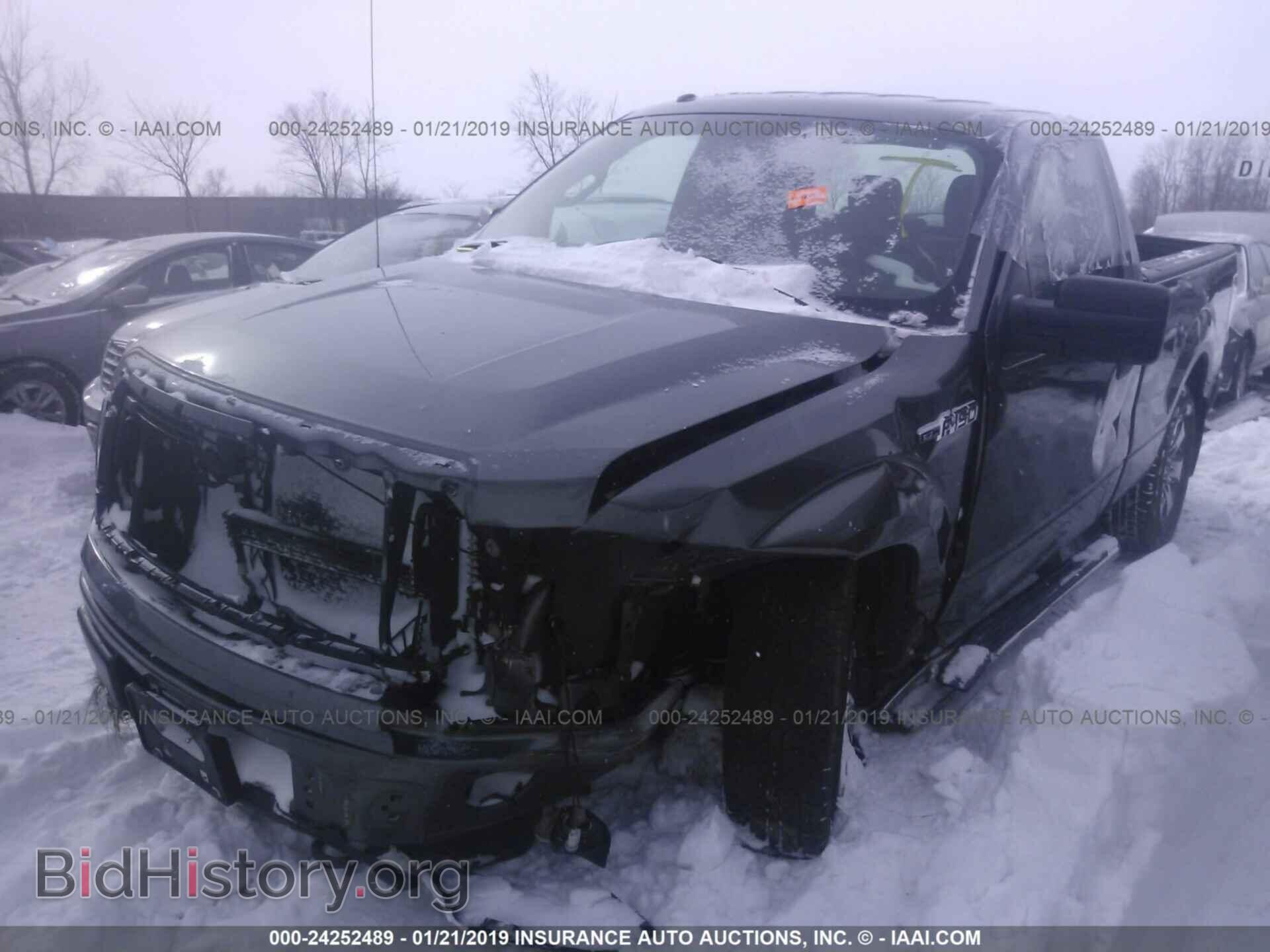 2013 FORD F150 - VIN: 1FTMF1EF2DFA36293 - Фото 2