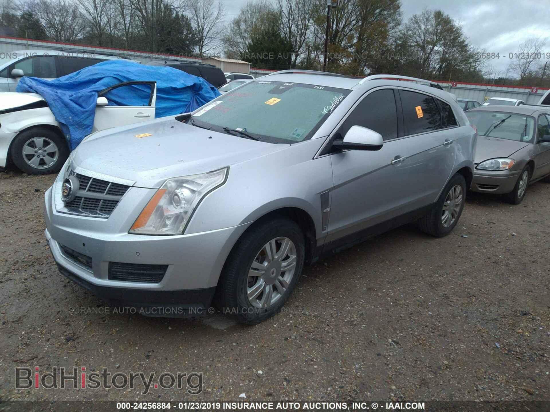 2012 CADILLAC SRX - VIN: 3GYFNAE34CS501954 - Фото 2
