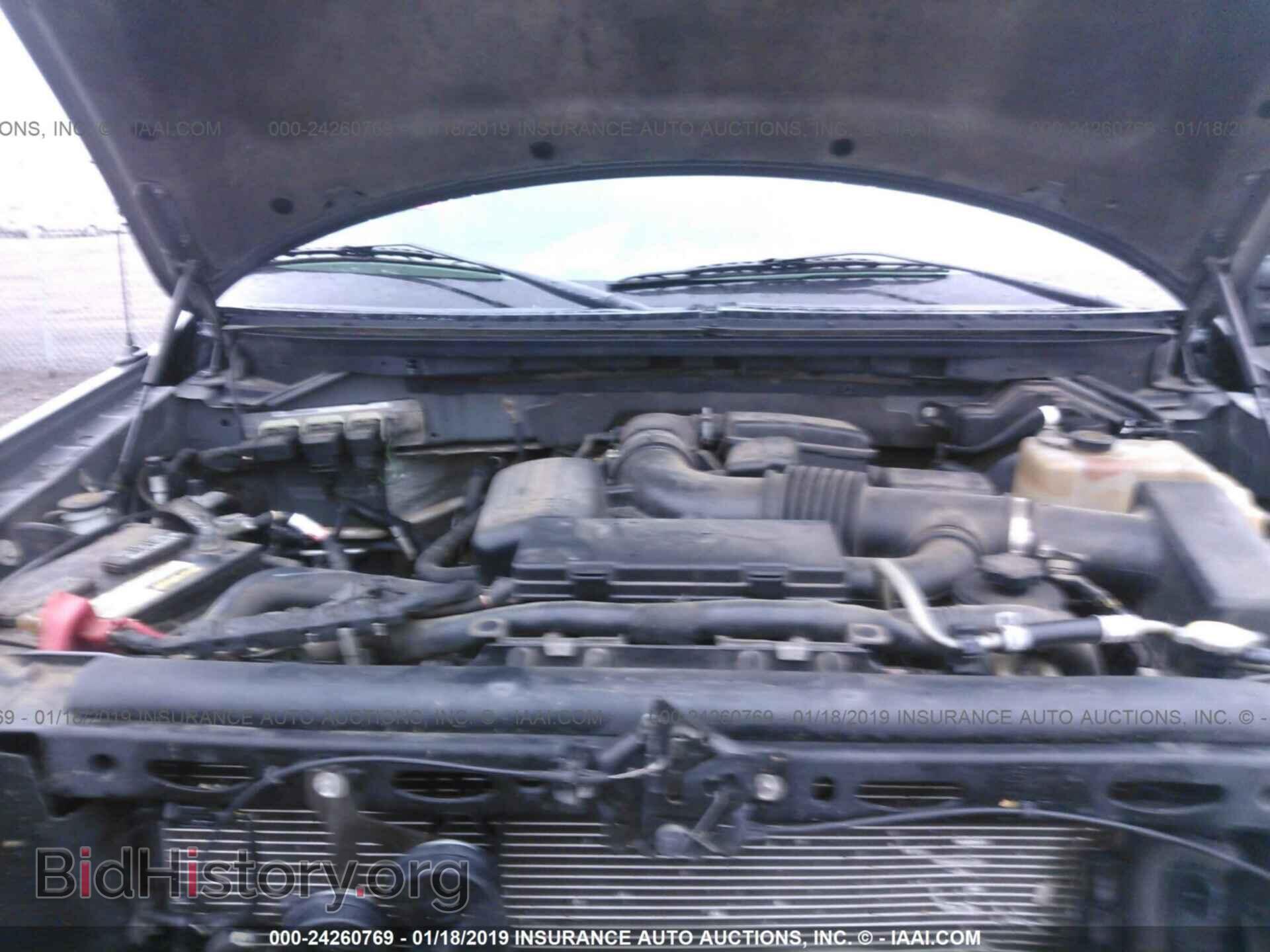 2010 FORD F150 - VIN: 1FTFW1EV0AFD39262 - Фото 10
