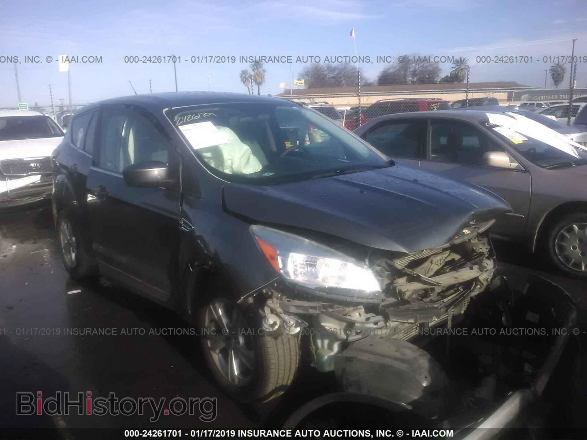 Фотография 1FMCU0GX2DUC79000 - FORD ESCAPE 2013